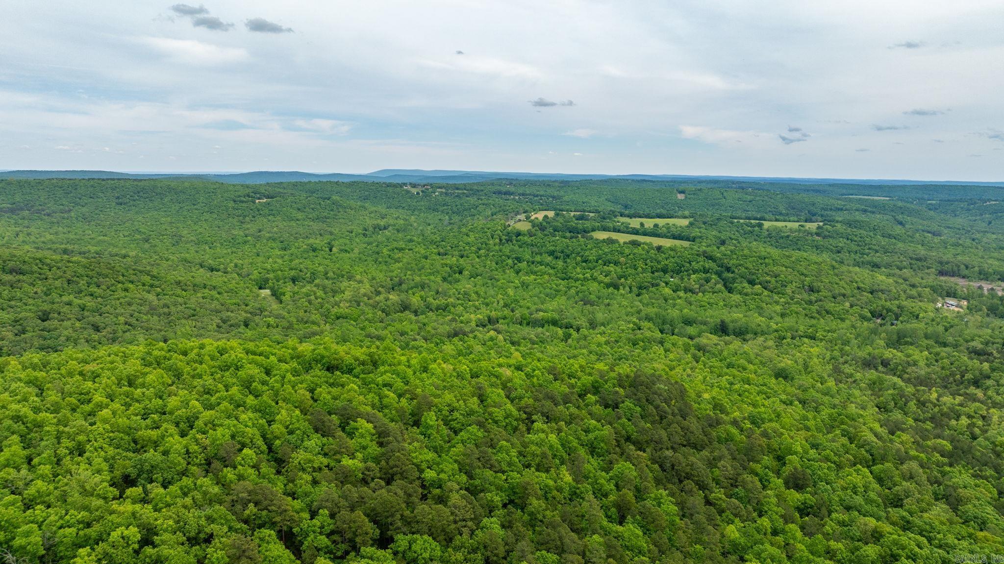 1505  Brushy Creek  Mountain View, AR