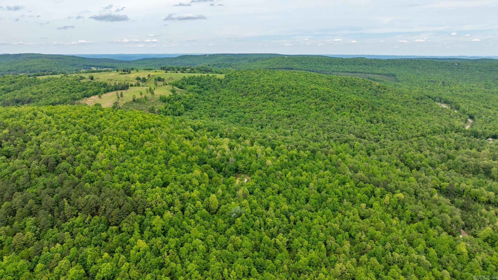 1505  Brushy Creek  Mountain View, AR