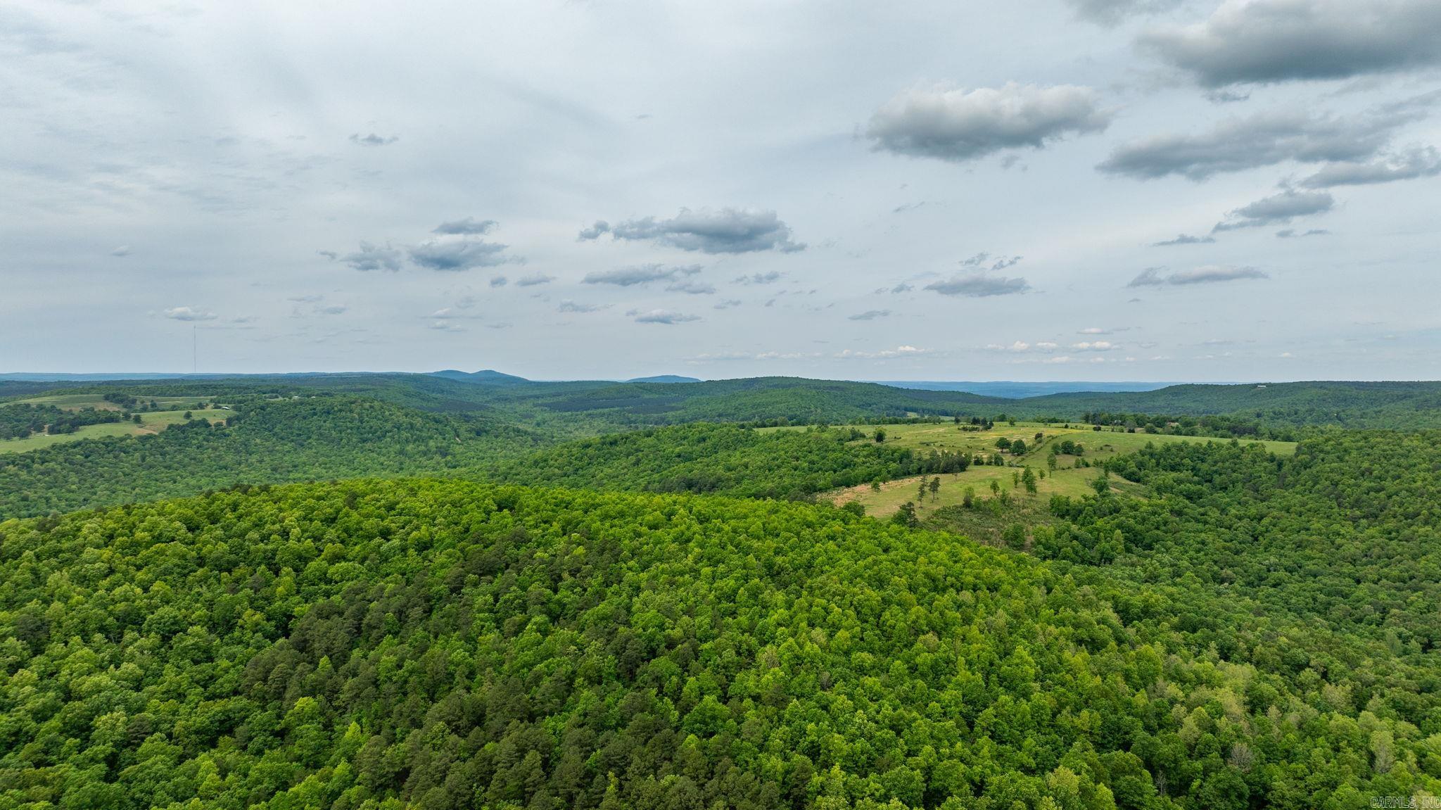 1505  Brushy Creek  Mountain View, AR