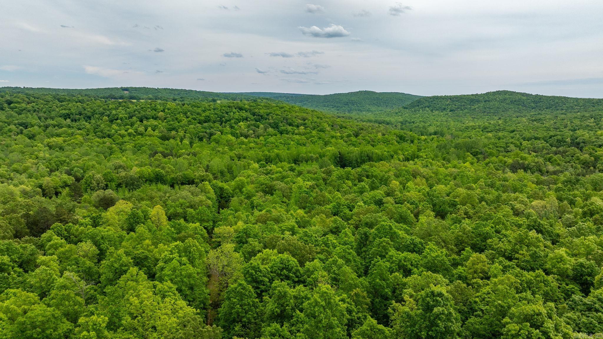1505  Brushy Creek  Mountain View, AR