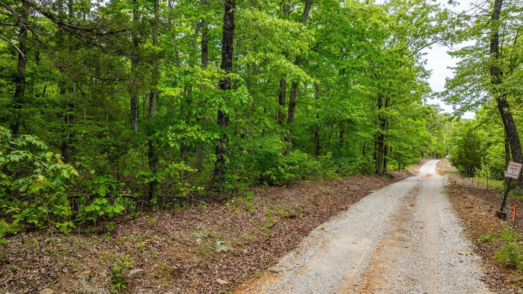 1505  Brushy Creek  Mountain View, AR