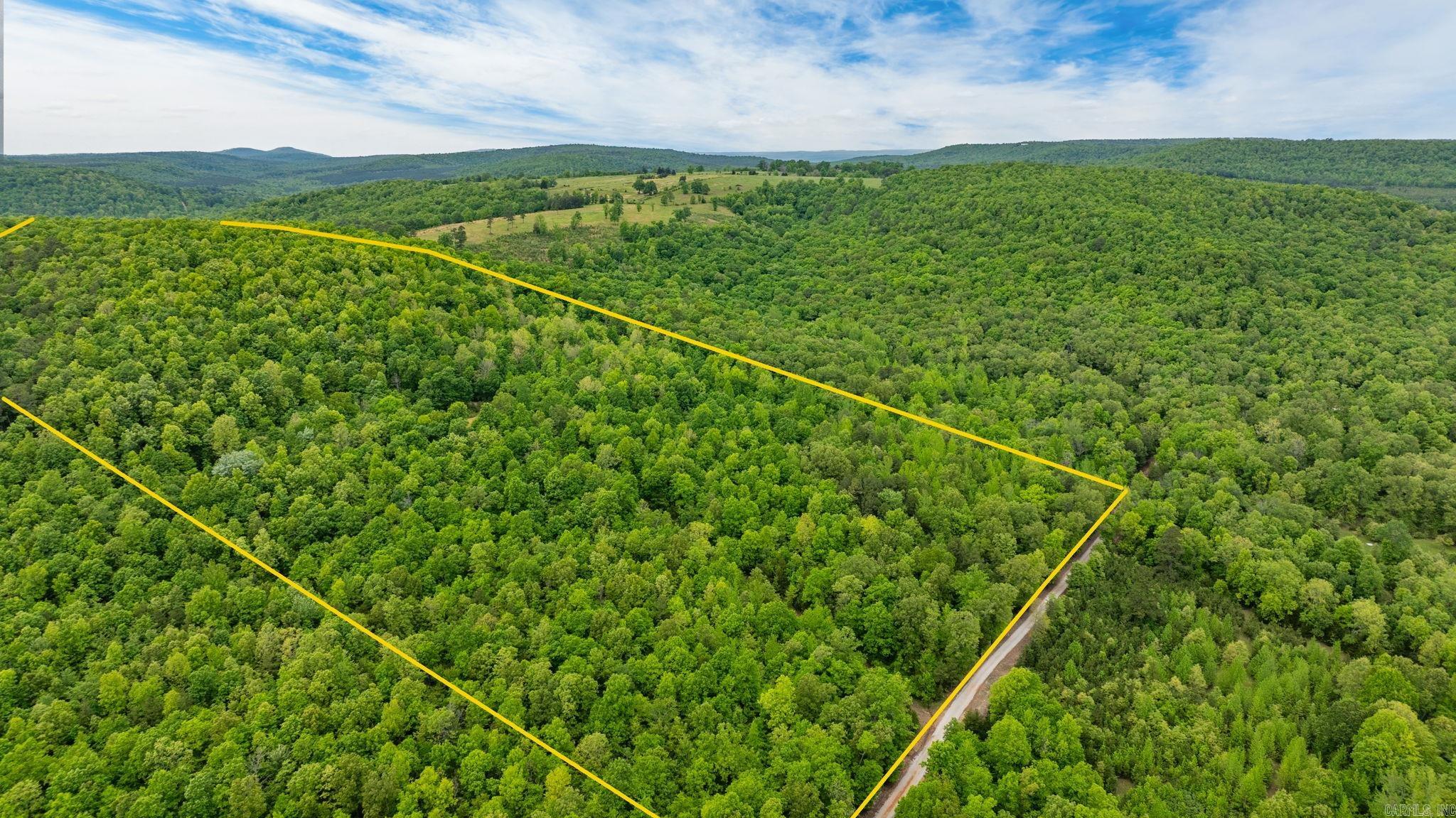 1505  Brushy Creek  Mountain View, AR