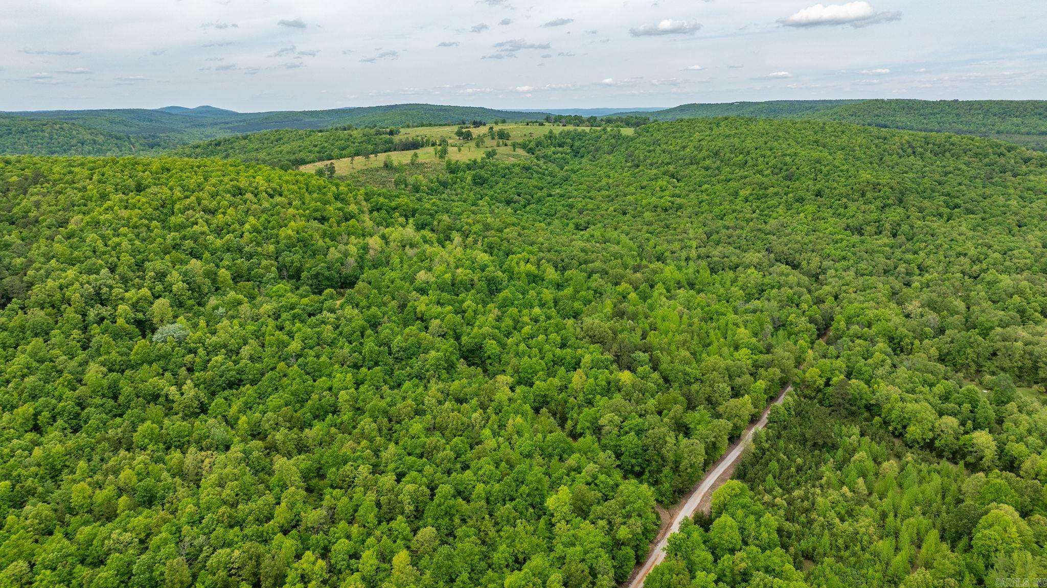 1505  Brushy Creek  Mountain View, AR