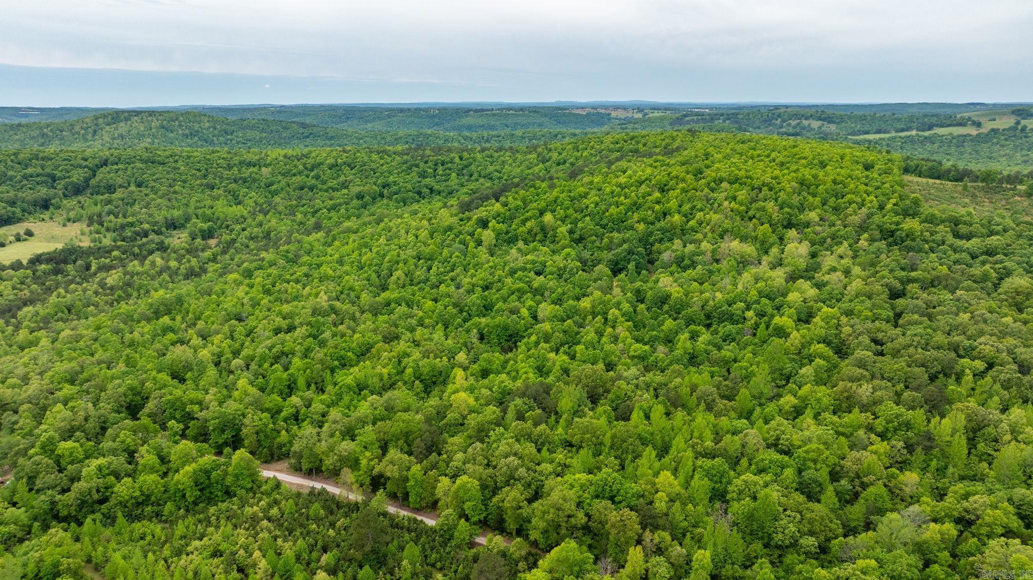 1505  Brushy Creek  Mountain View, AR