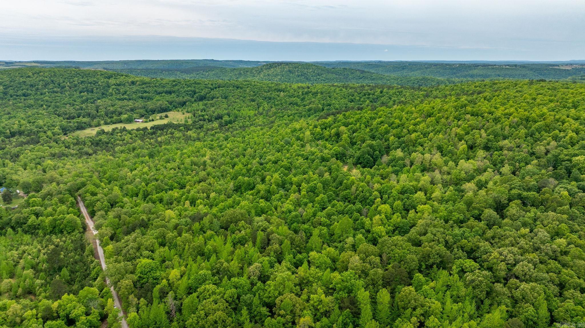 1505  Brushy Creek  Mountain View, AR