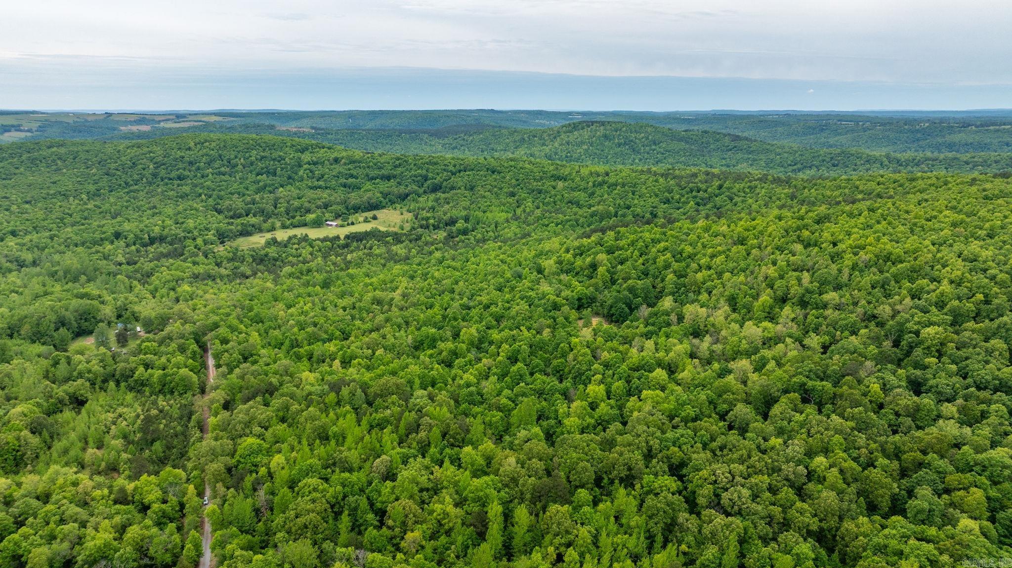1505  Brushy Creek  Mountain View, AR