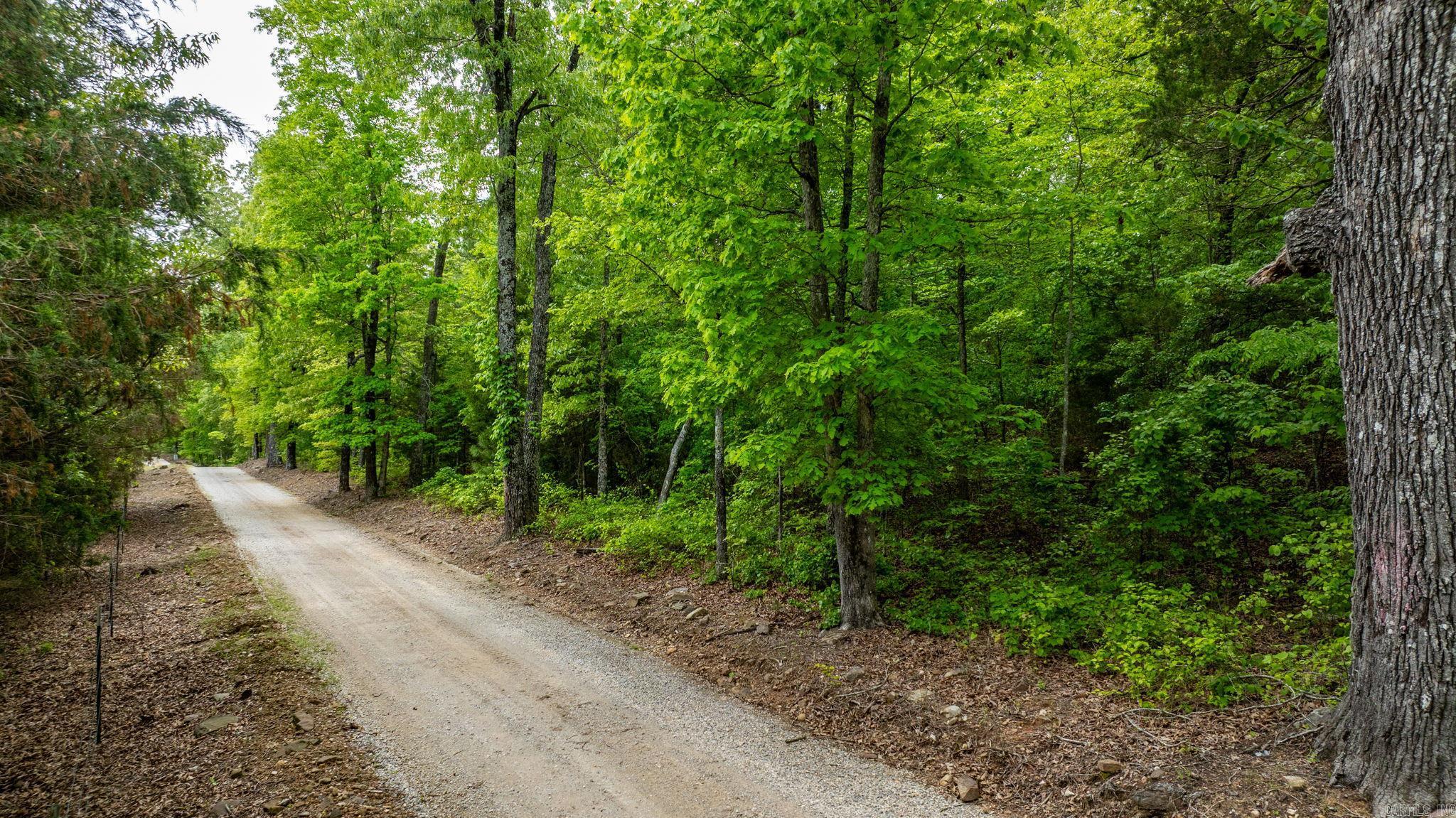 1505  Brushy Creek  Mountain View, AR
