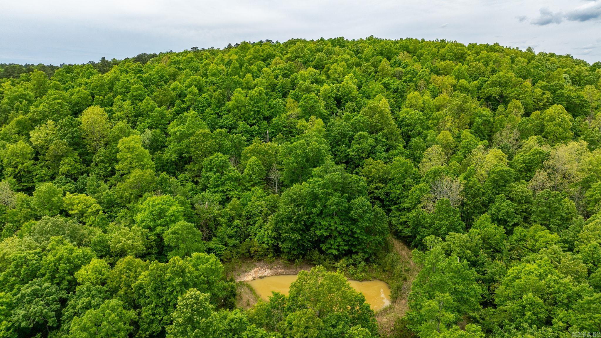 1505  Brushy Creek  Mountain View, AR