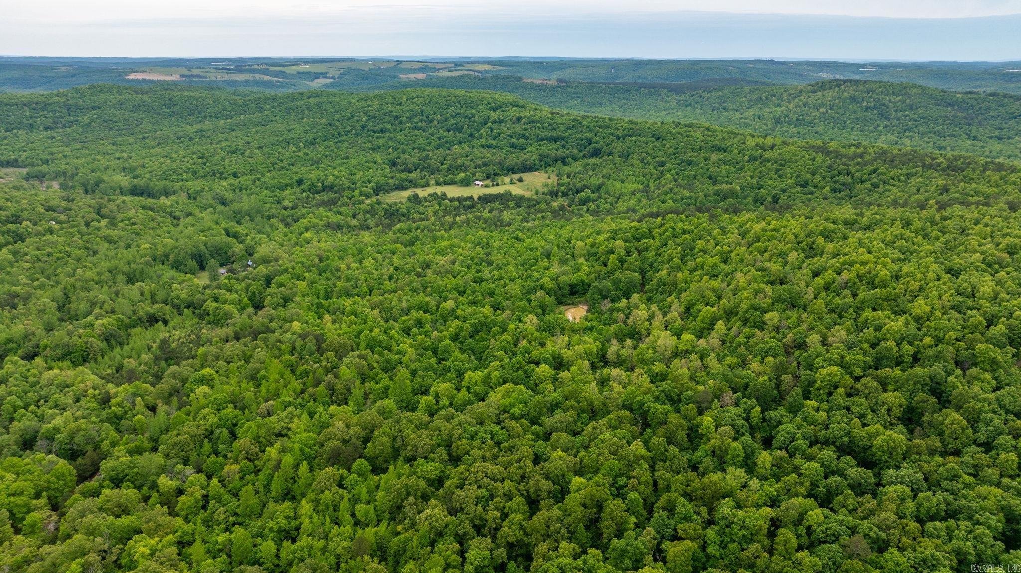 1505  Brushy Creek  Mountain View, AR