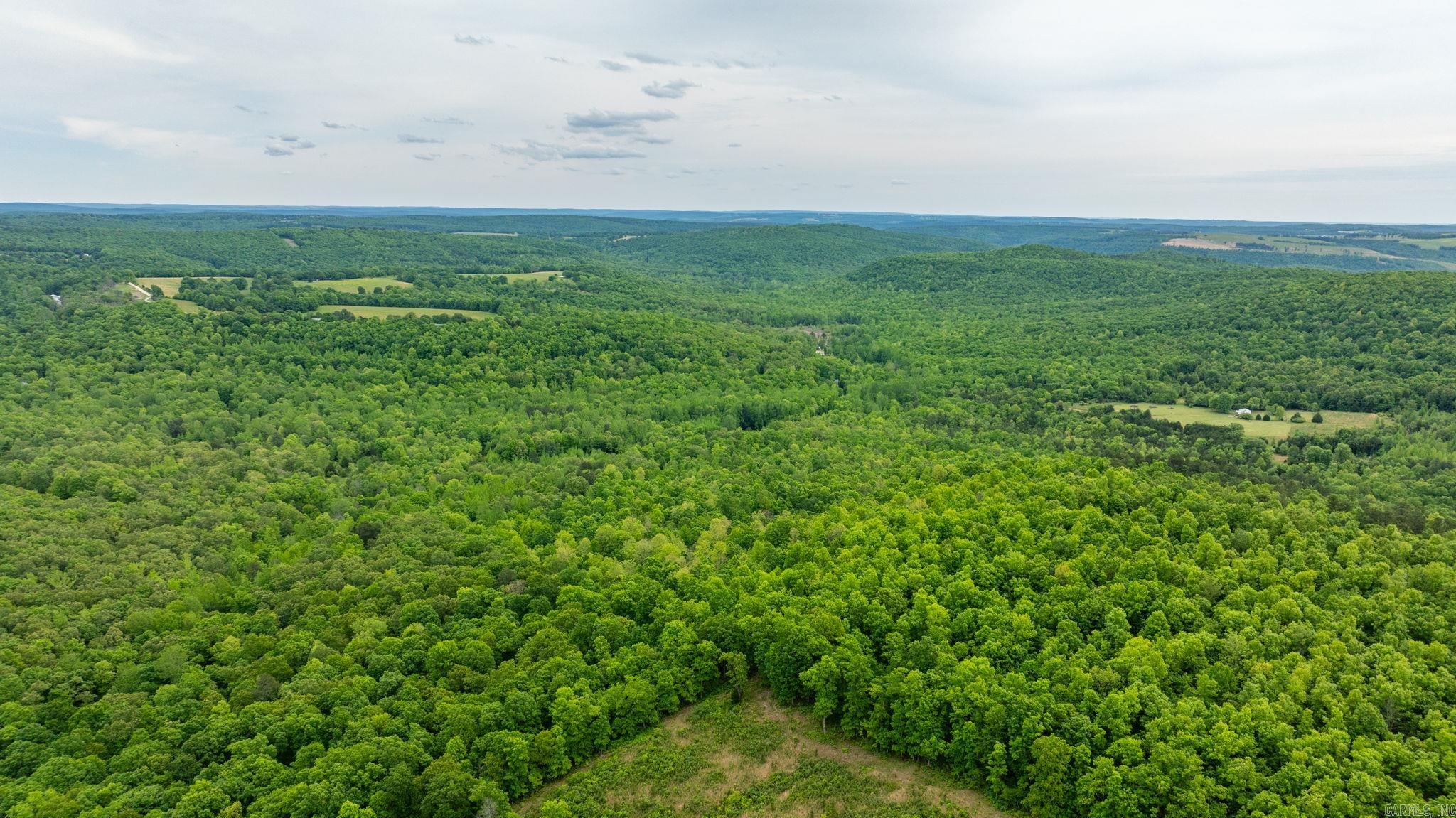 1505  Brushy Creek  Mountain View, AR