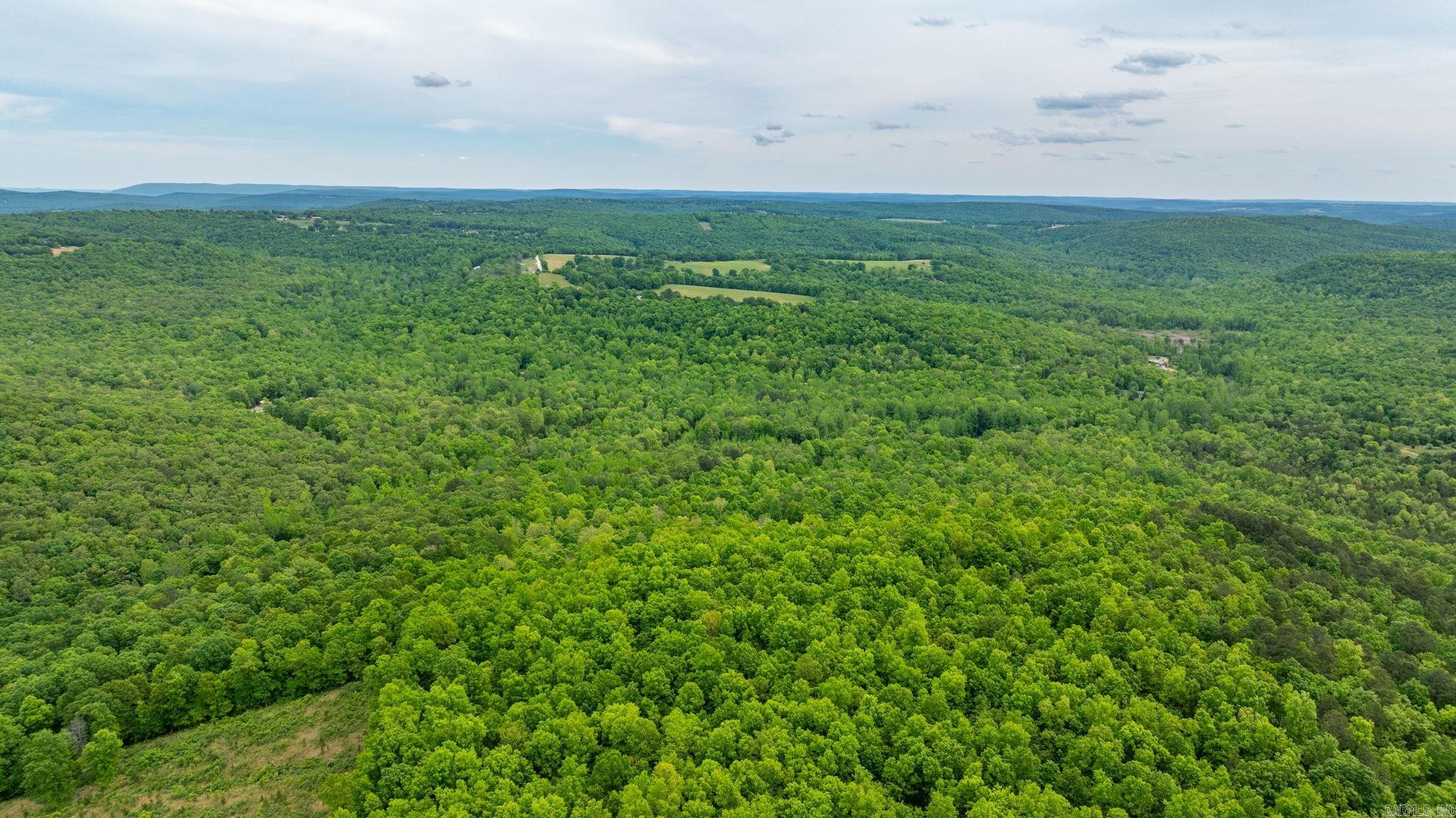 1505  Brushy Creek  Mountain View, AR