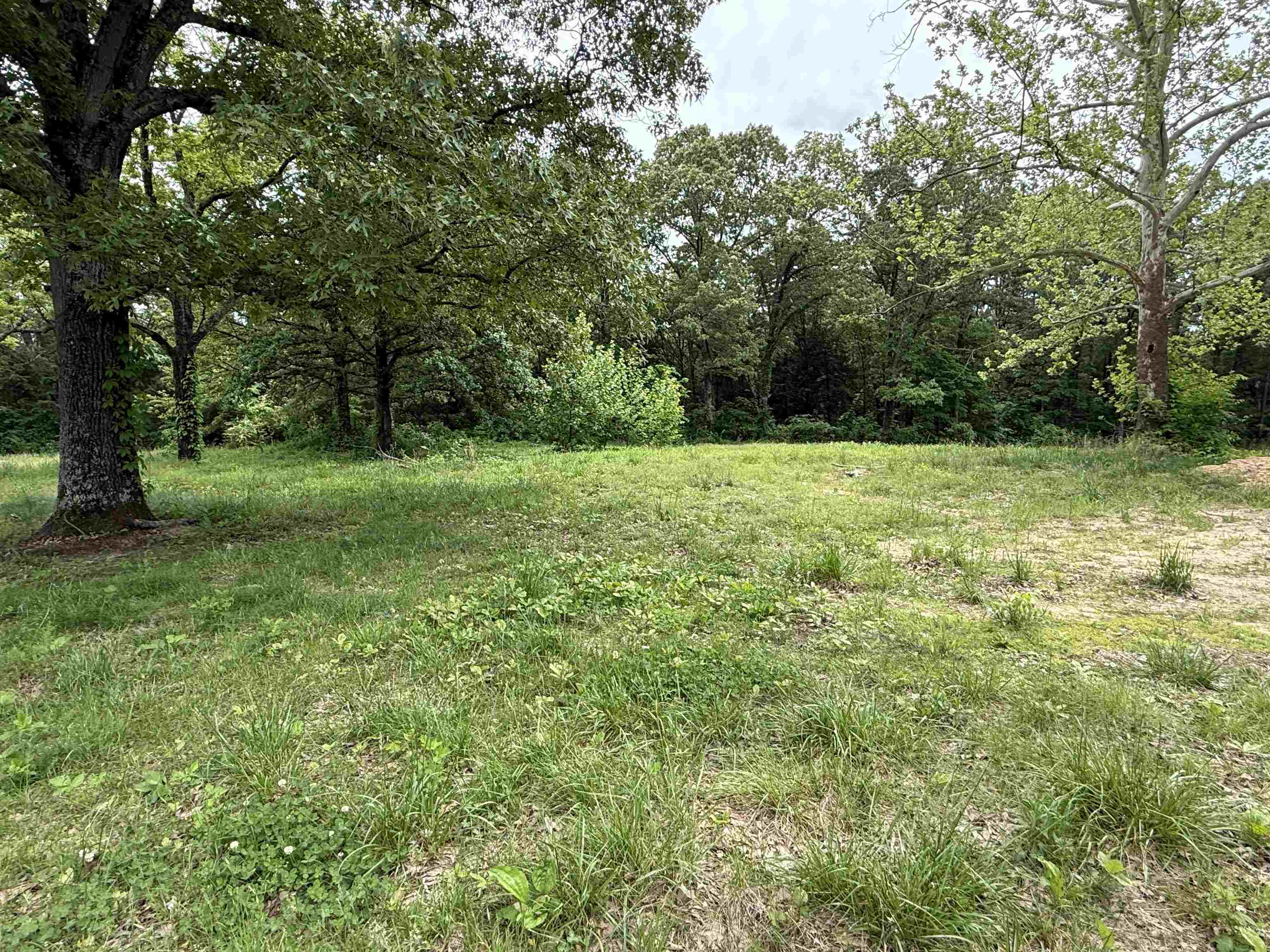 4090 AR 56 Hwy Wideman, AR 72585