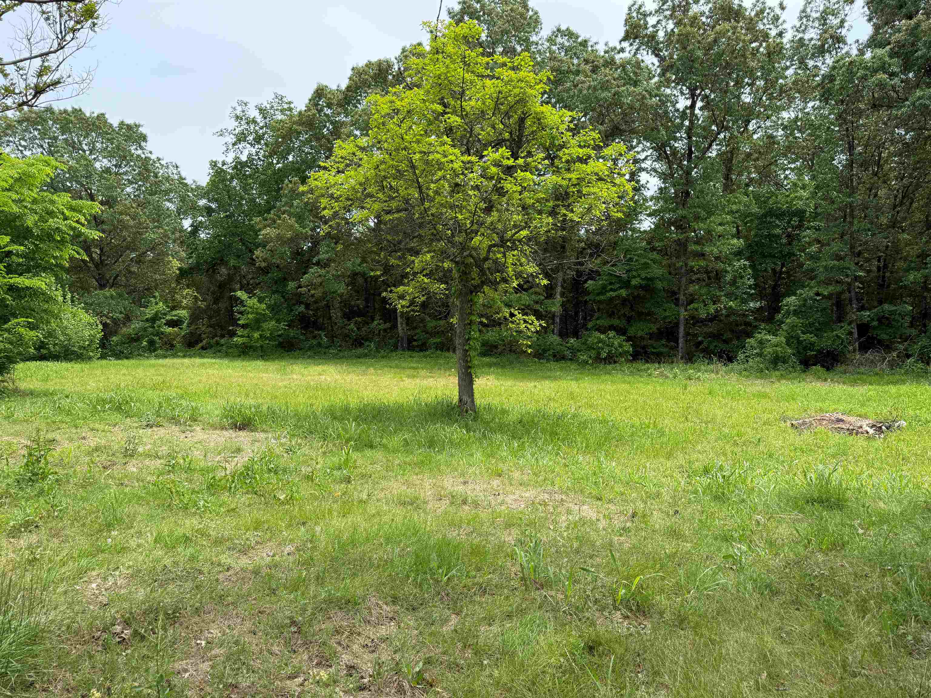4090 AR 56 Hwy Wideman, AR 72585