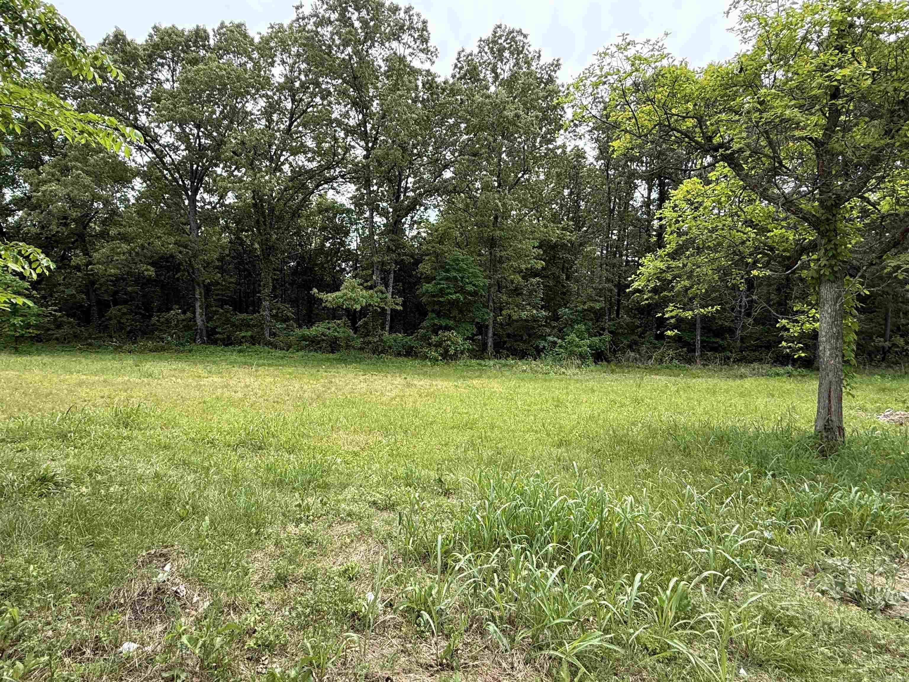 4090  AR 56 Hwy  Wideman, AR
