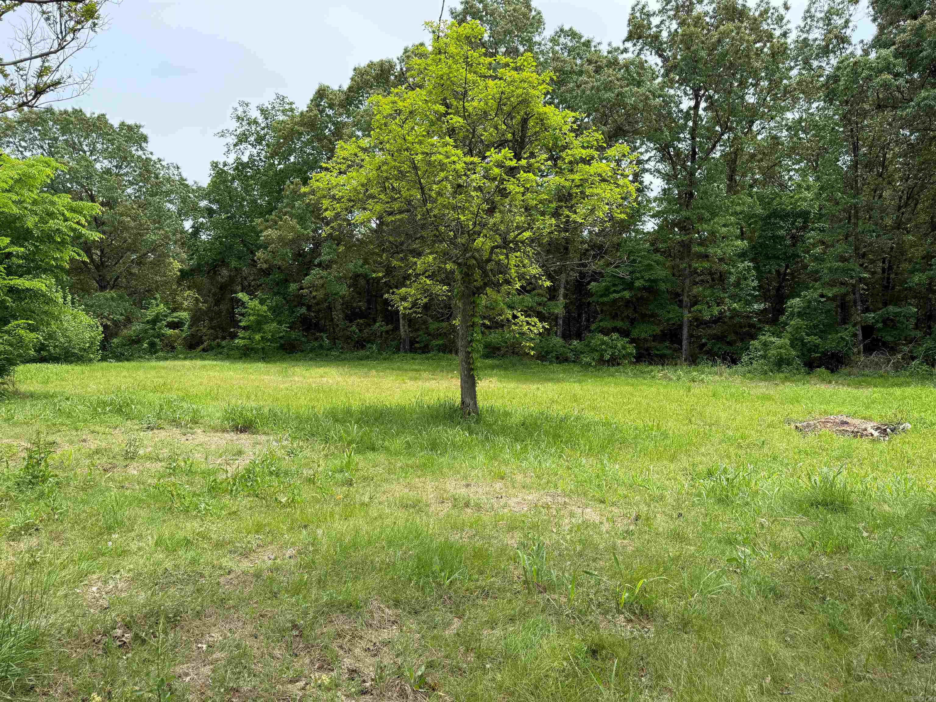 4090  AR 56 Hwy  Wideman, AR