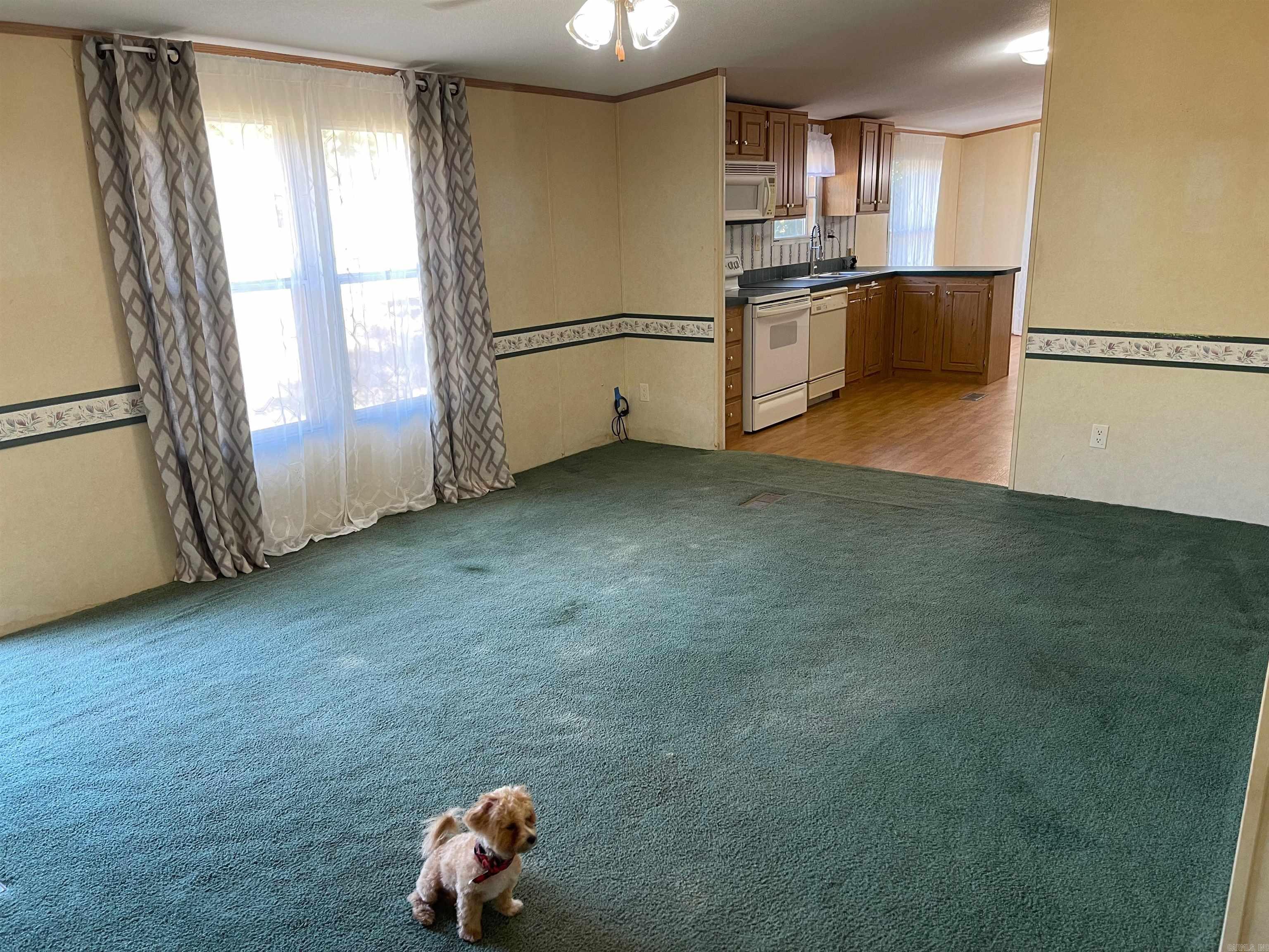 301 E Shelton  Monticello, AR