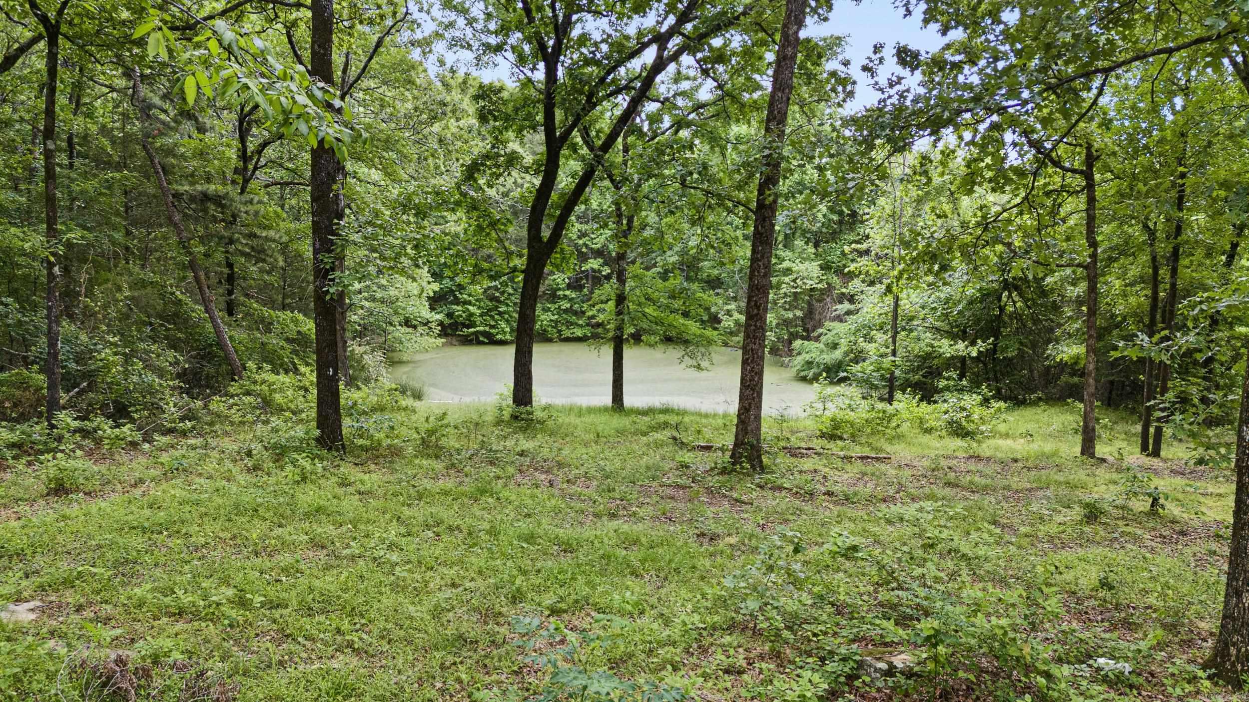 725 County Rd 2700 London, AR 72847
