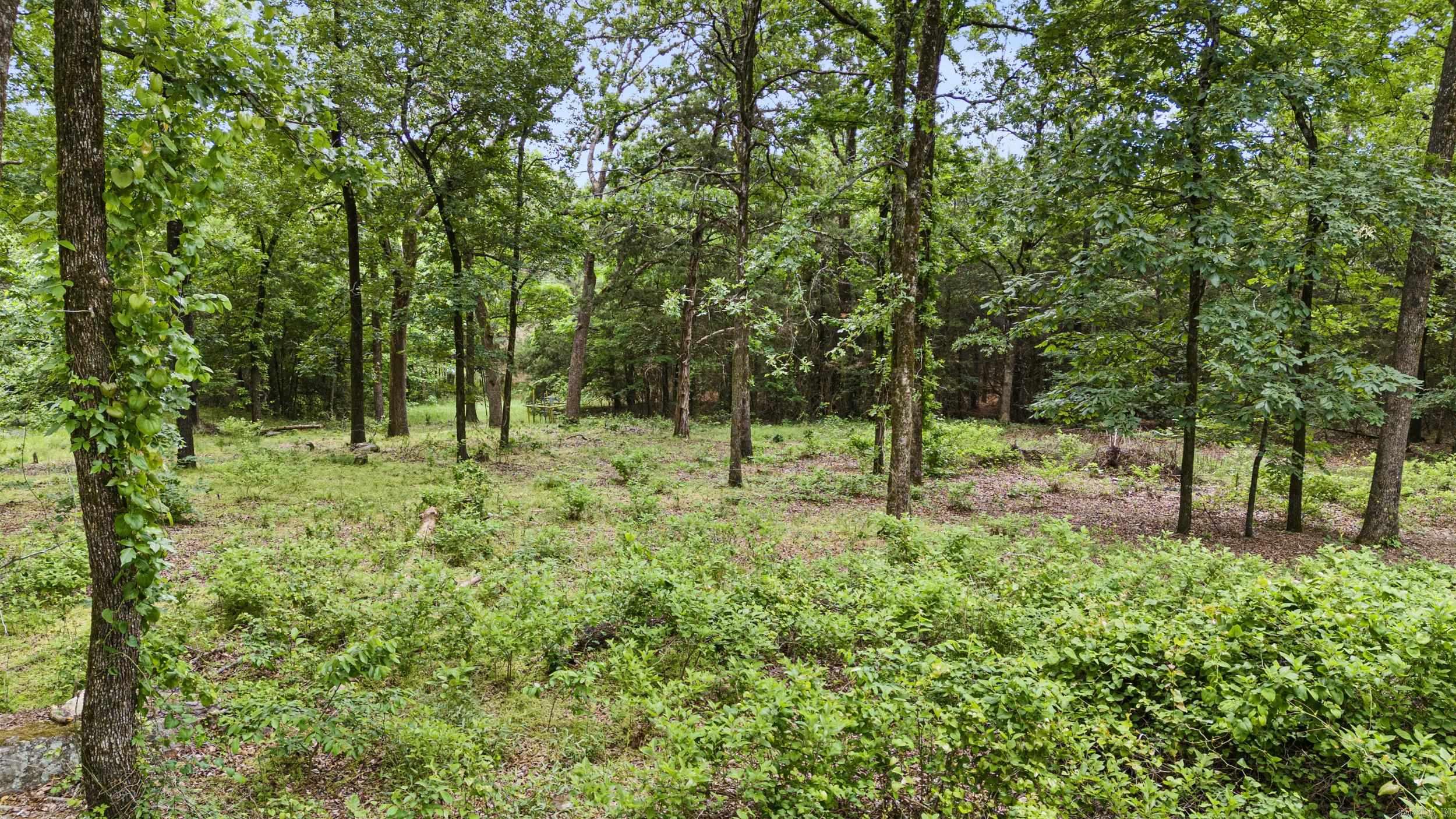 725 County Rd 2700 London, AR 72847