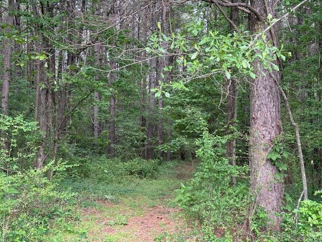 24/82 Whites Cut Rd Carlisle, AR 72024
