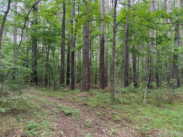24/82 Whites Cut Rd Carlisle, AR 72024