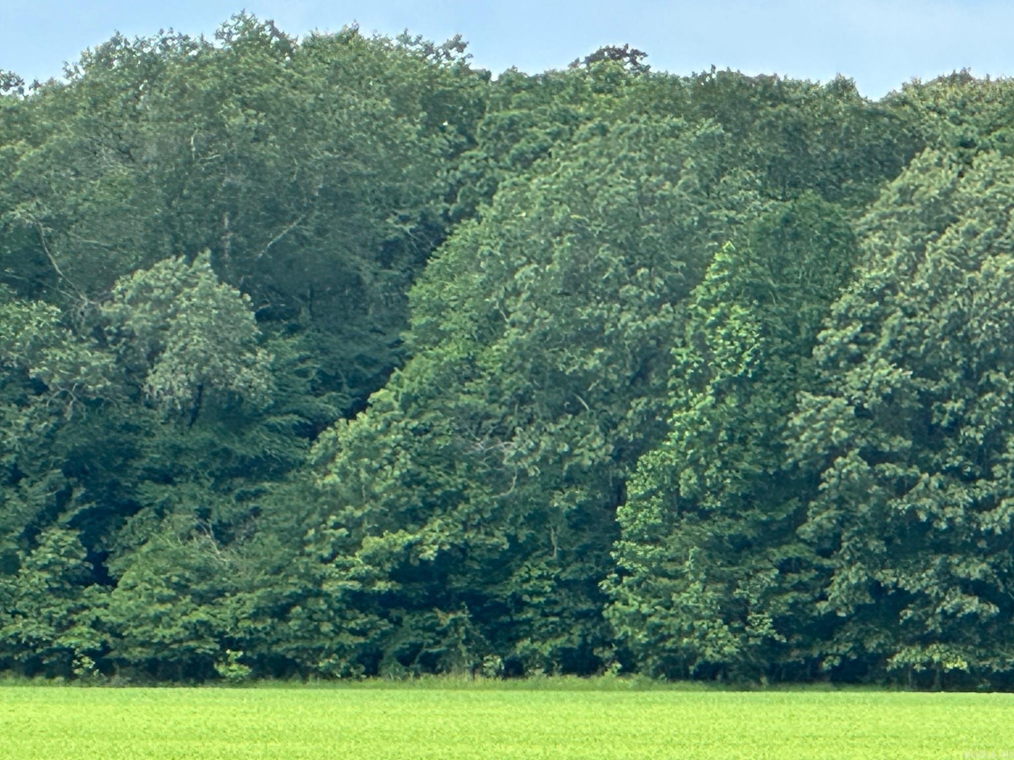   hwy 189 n  Hamburg, AR