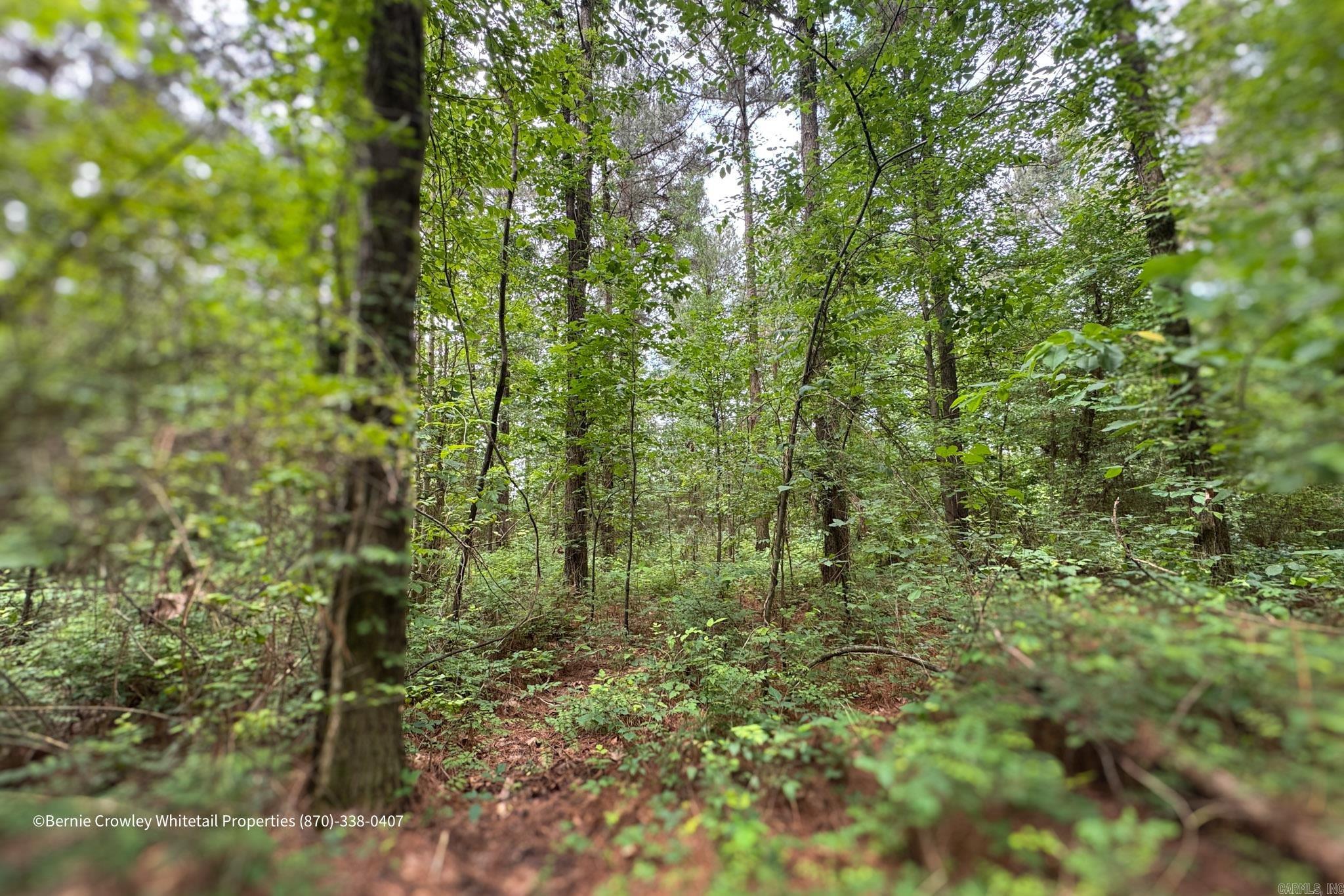   None  Barton, AR