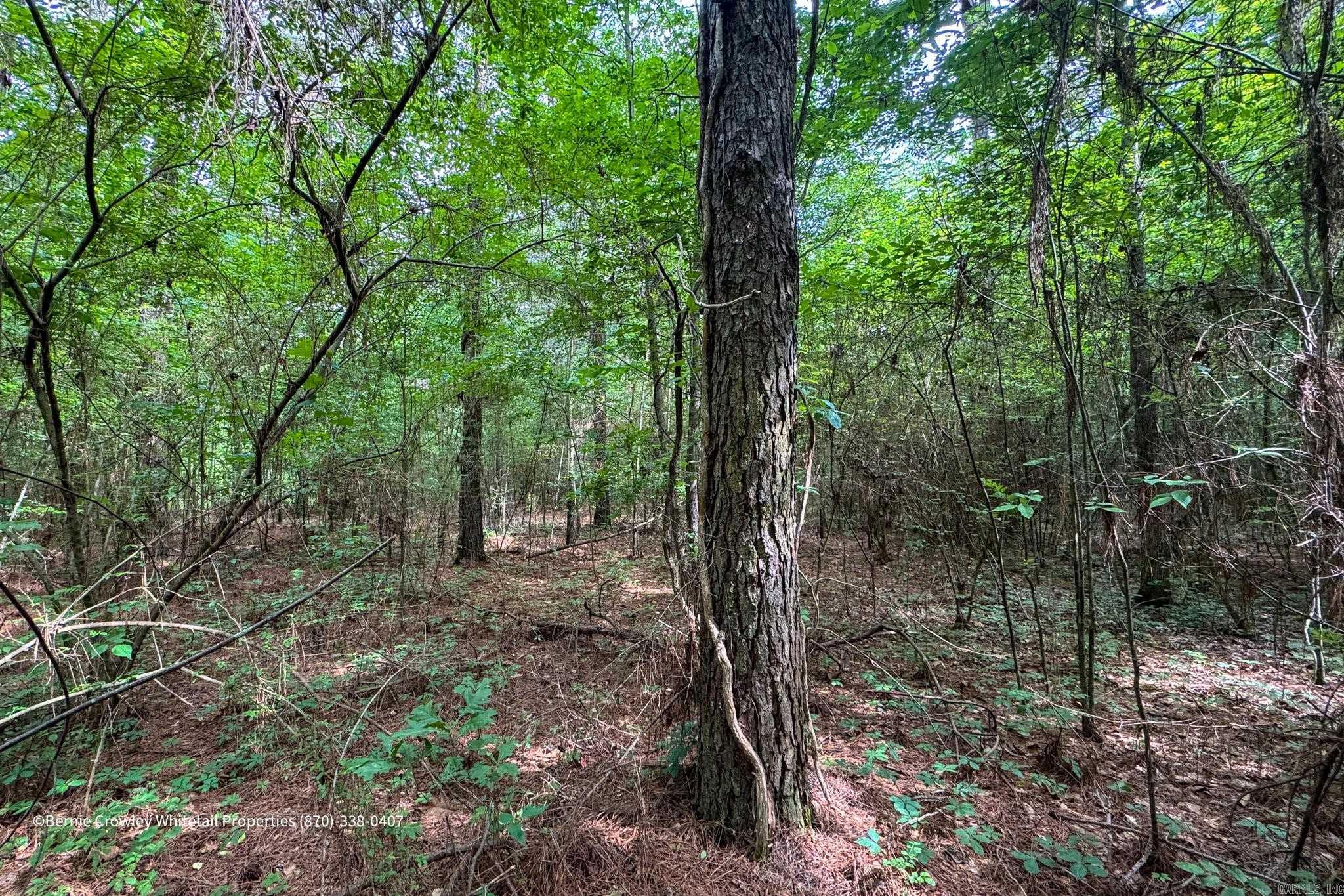   None  Barton, AR
