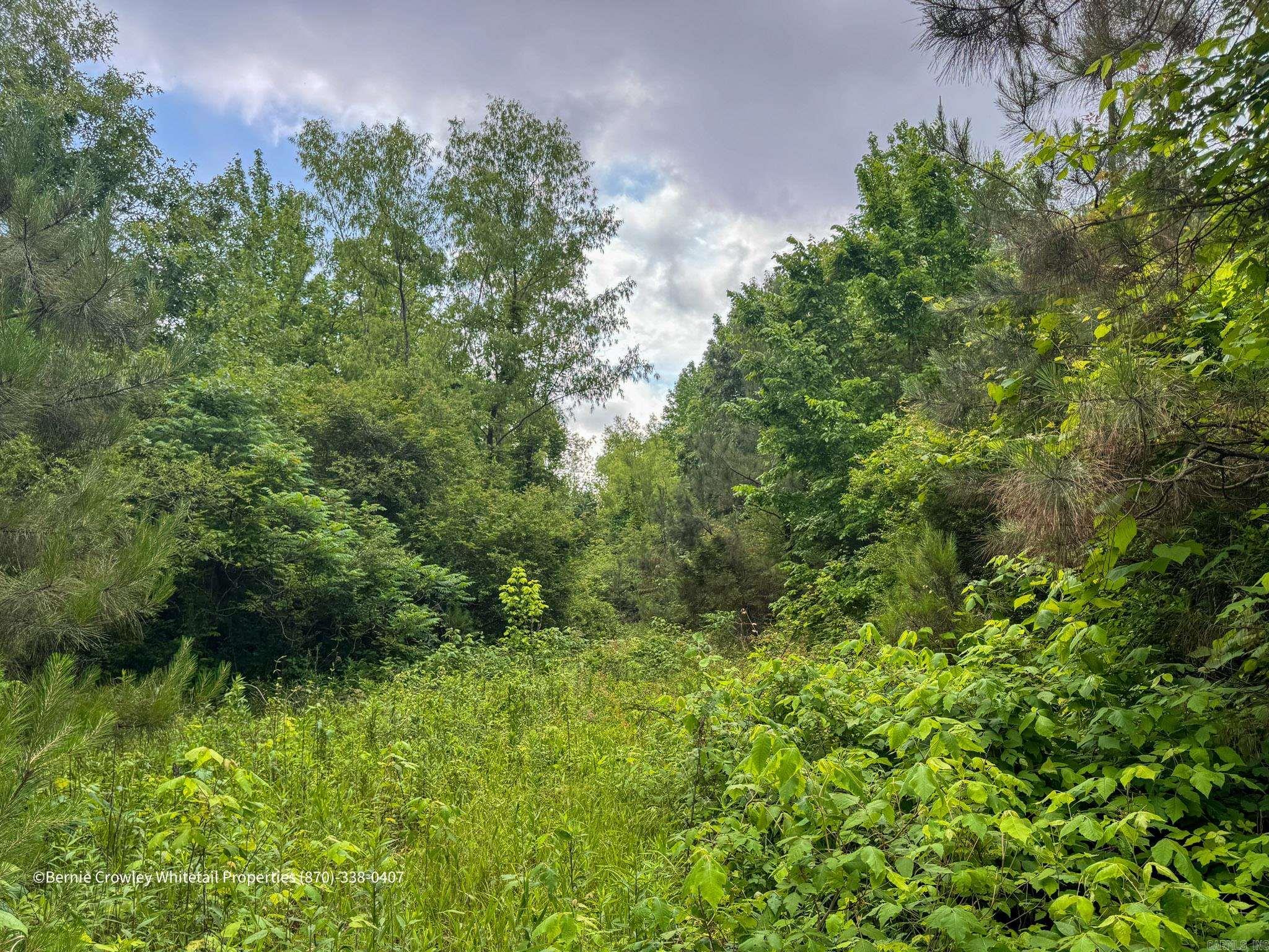   None  Barton, AR