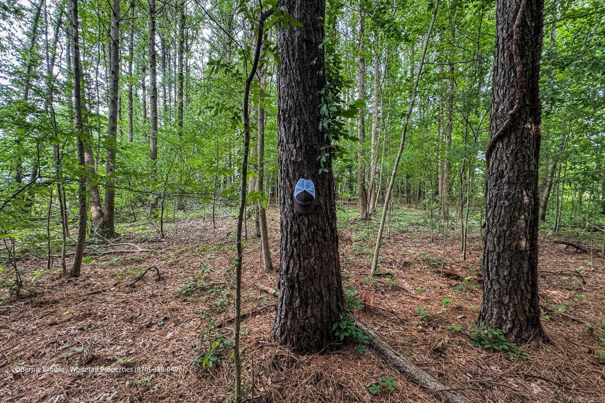   None  Barton, AR