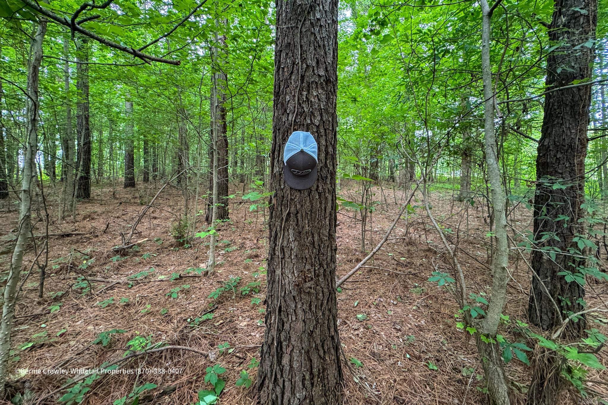   None  Barton, AR