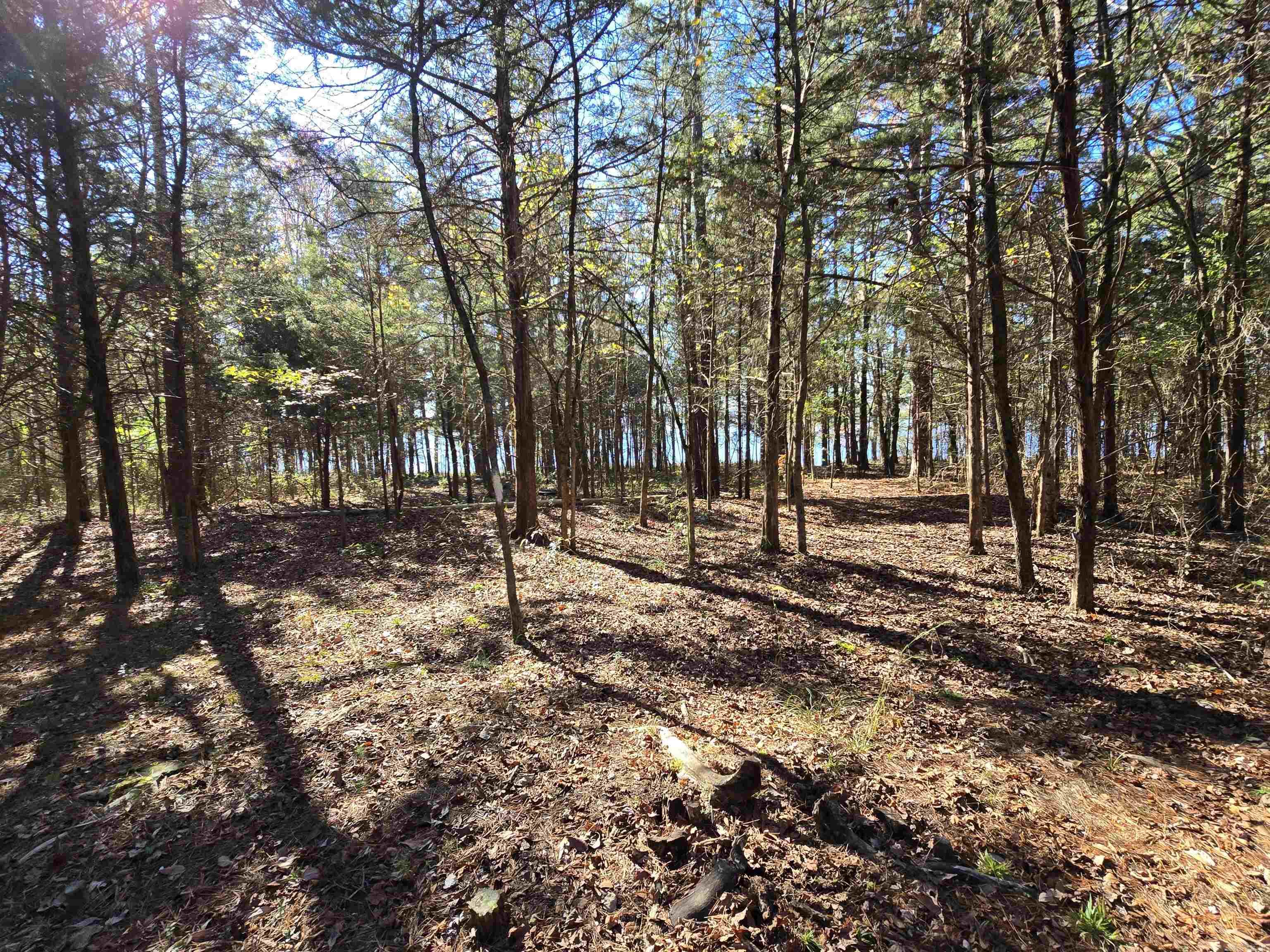 29 Ramp Lane Drasco, AR 72530
