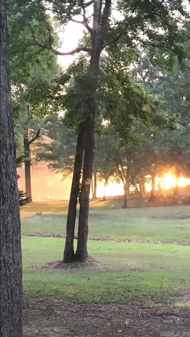 3182 Quail Lane Benton, AR 72019