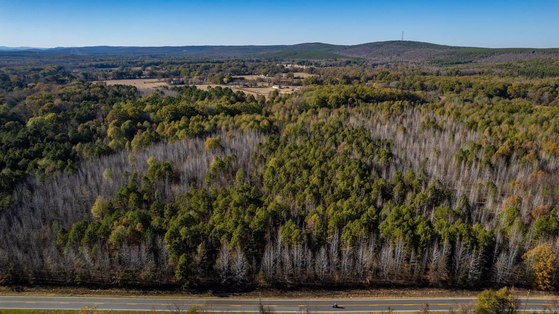 Lot 2  Roland Woods, HWY 300  Roland, AR