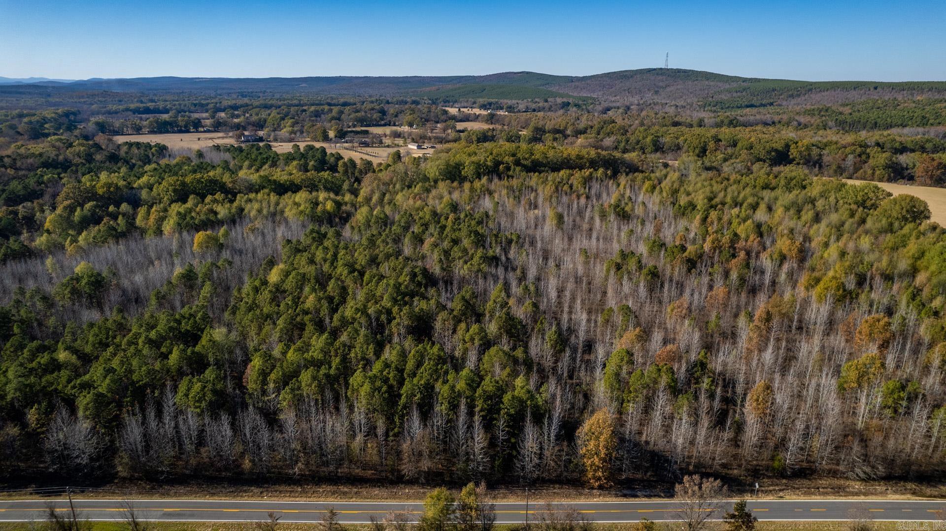 Lot 3  Roland Woods, HWY 300  Roland, AR