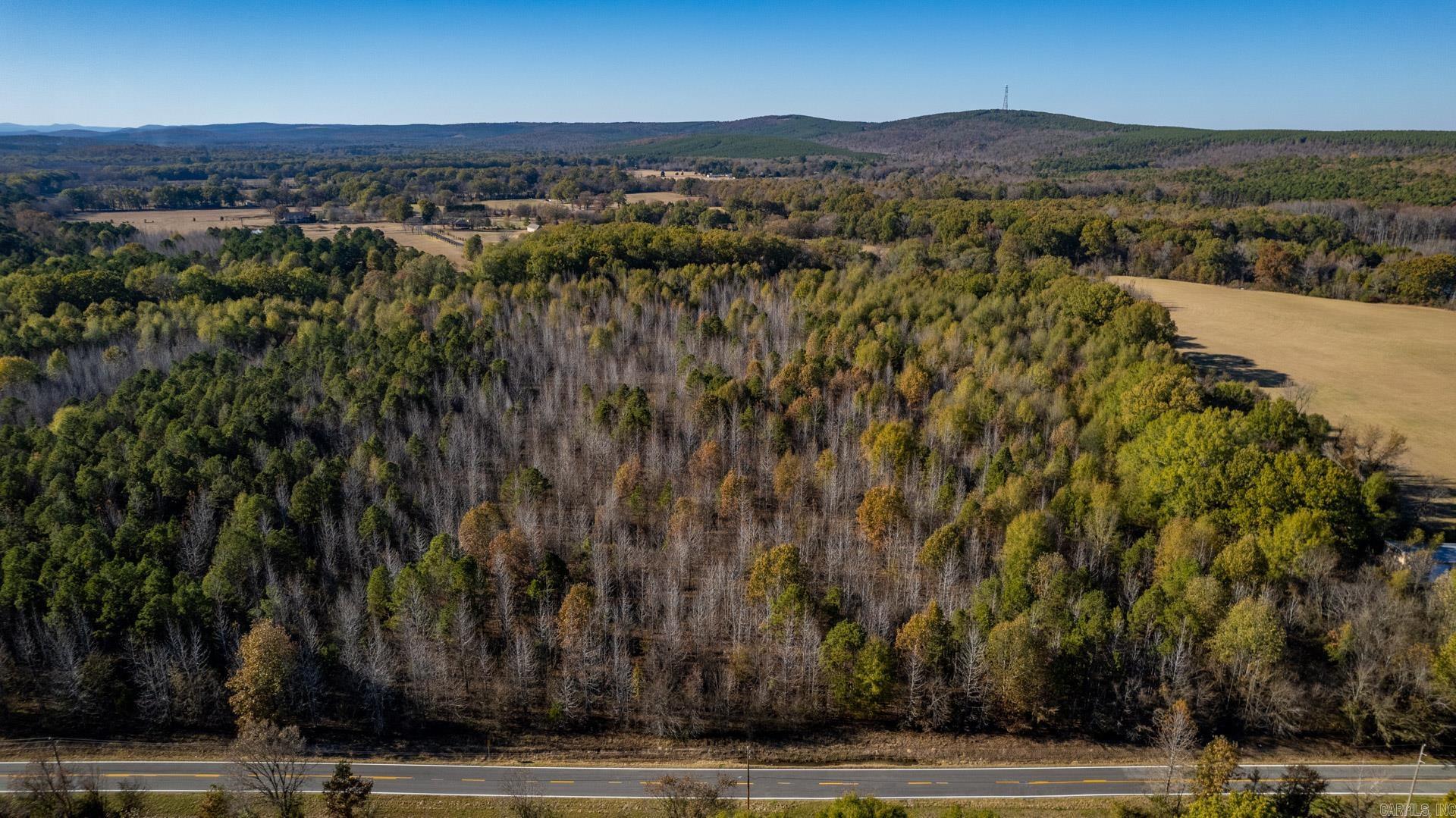 Lot 3  Roland Woods, HWY 300  Roland, AR