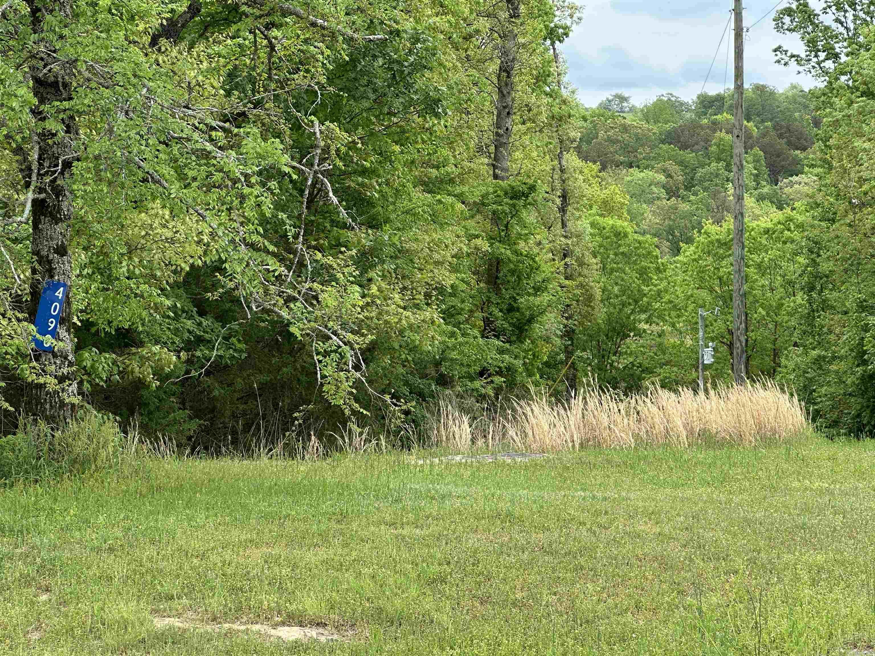 4090  Sunny Slope  Edgemont, AR