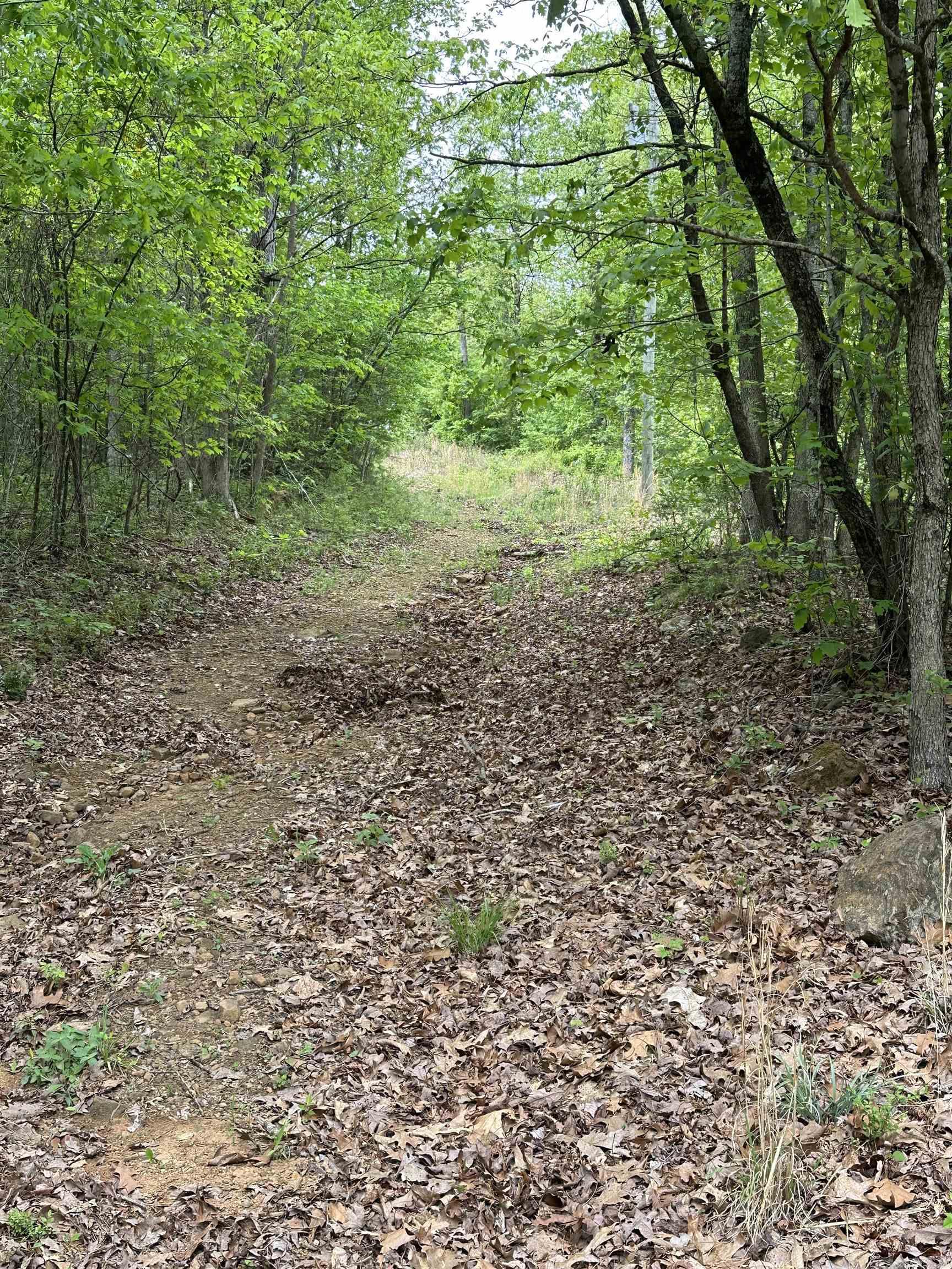 4090  Sunny Slope  Edgemont, AR