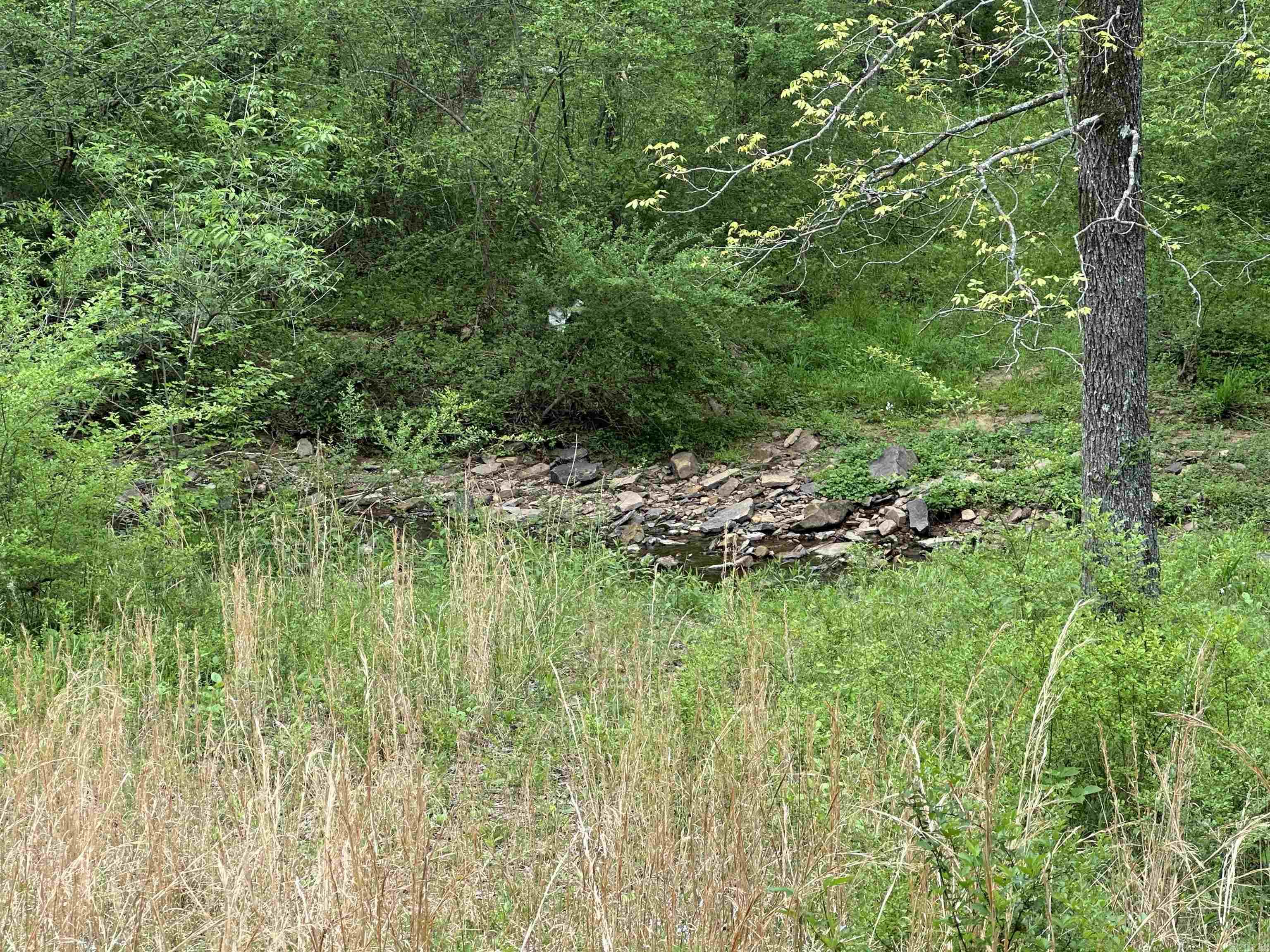 4090  Sunny Slope  Edgemont, AR