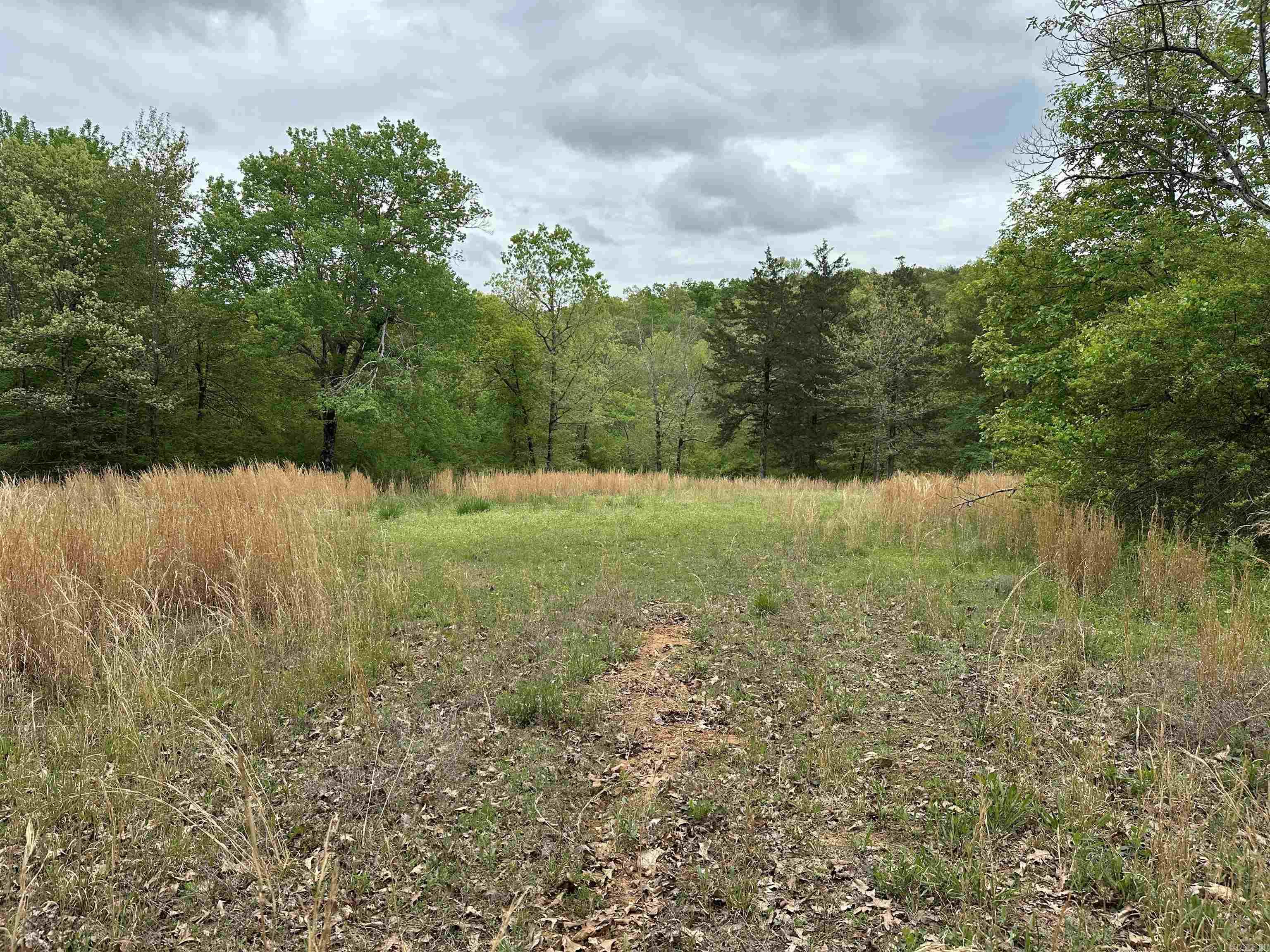 4090 Sunny Slope  Edgemont, AR