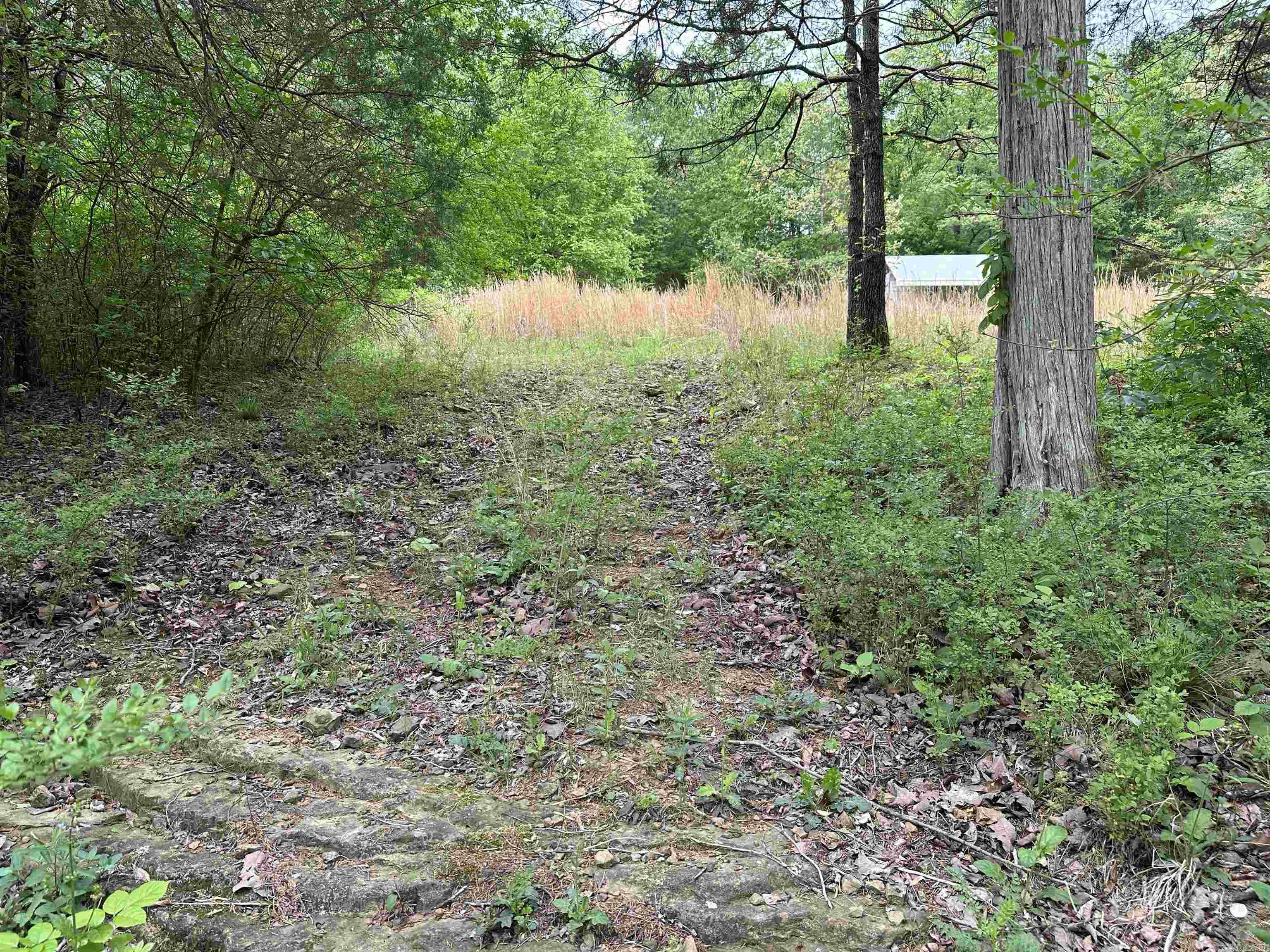 4090  Sunny Slope  Edgemont, AR