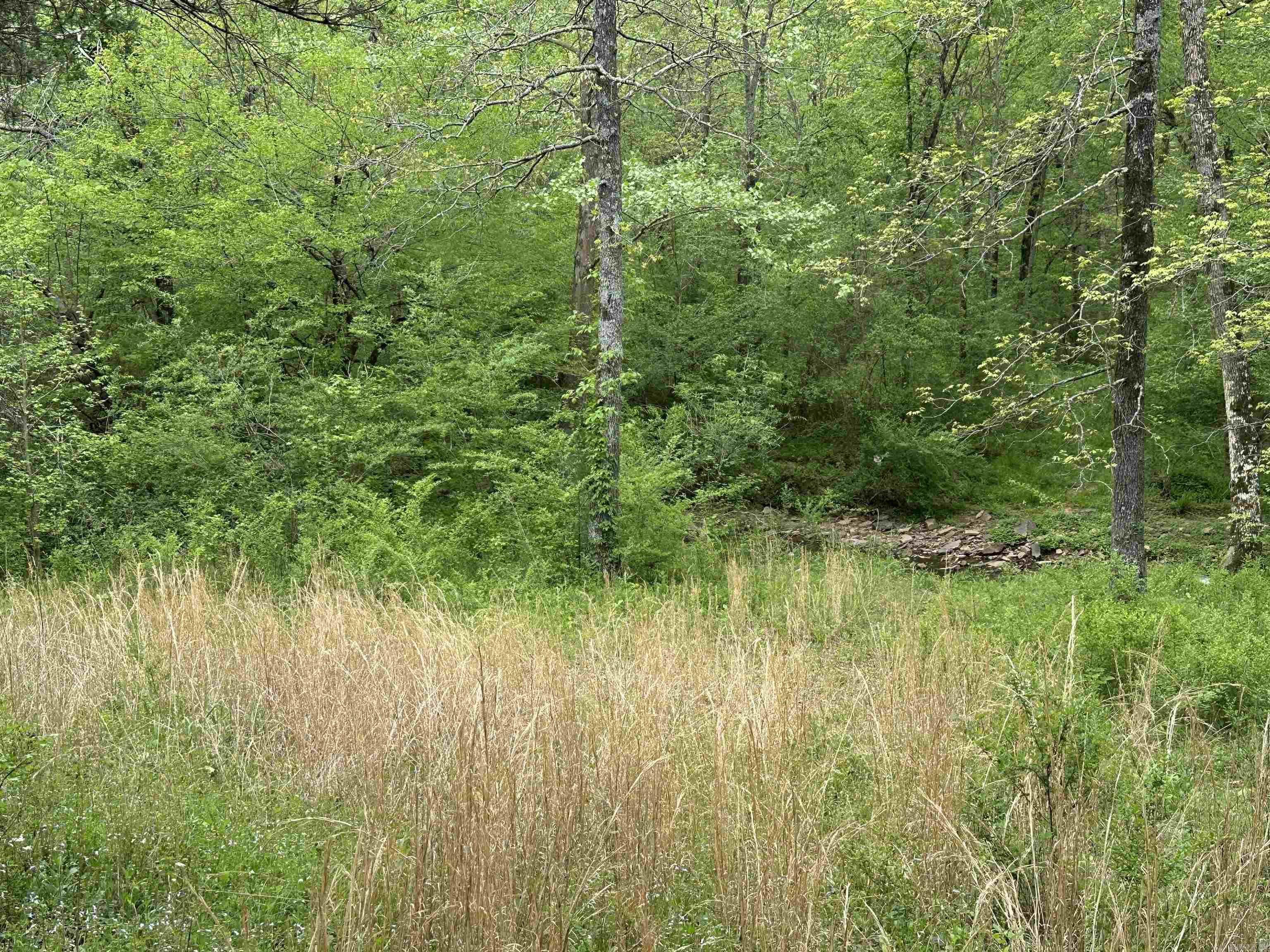 4090  Sunny Slope  Edgemont, AR