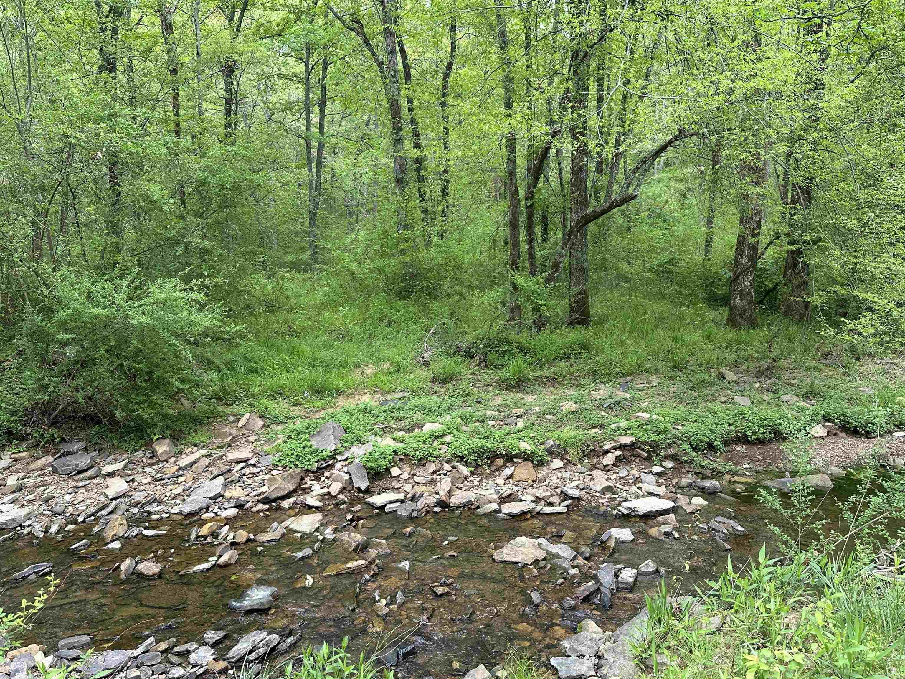 4090  Sunny Slope  Edgemont, AR