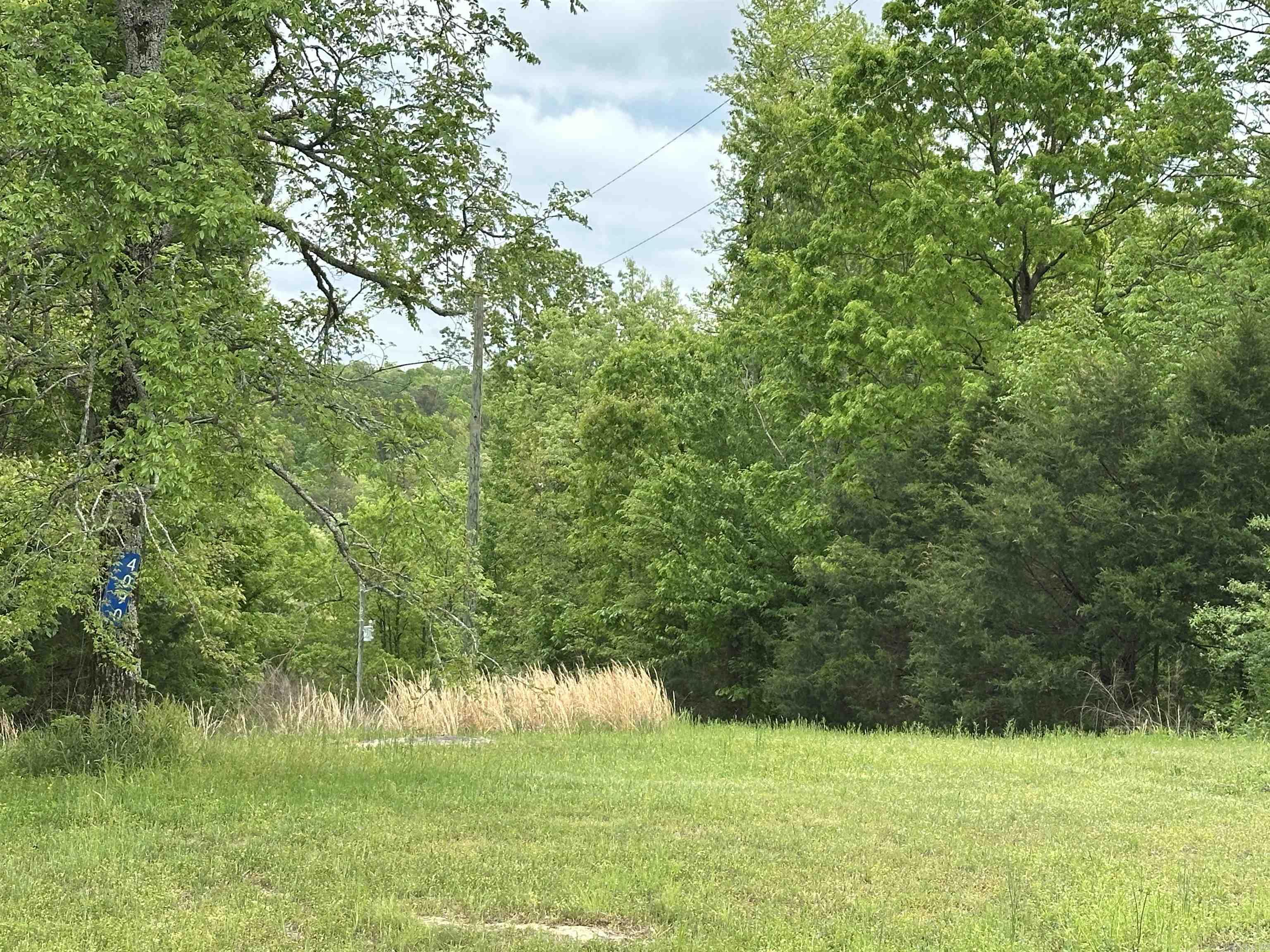 4090  Sunny Slope  Edgemont, AR