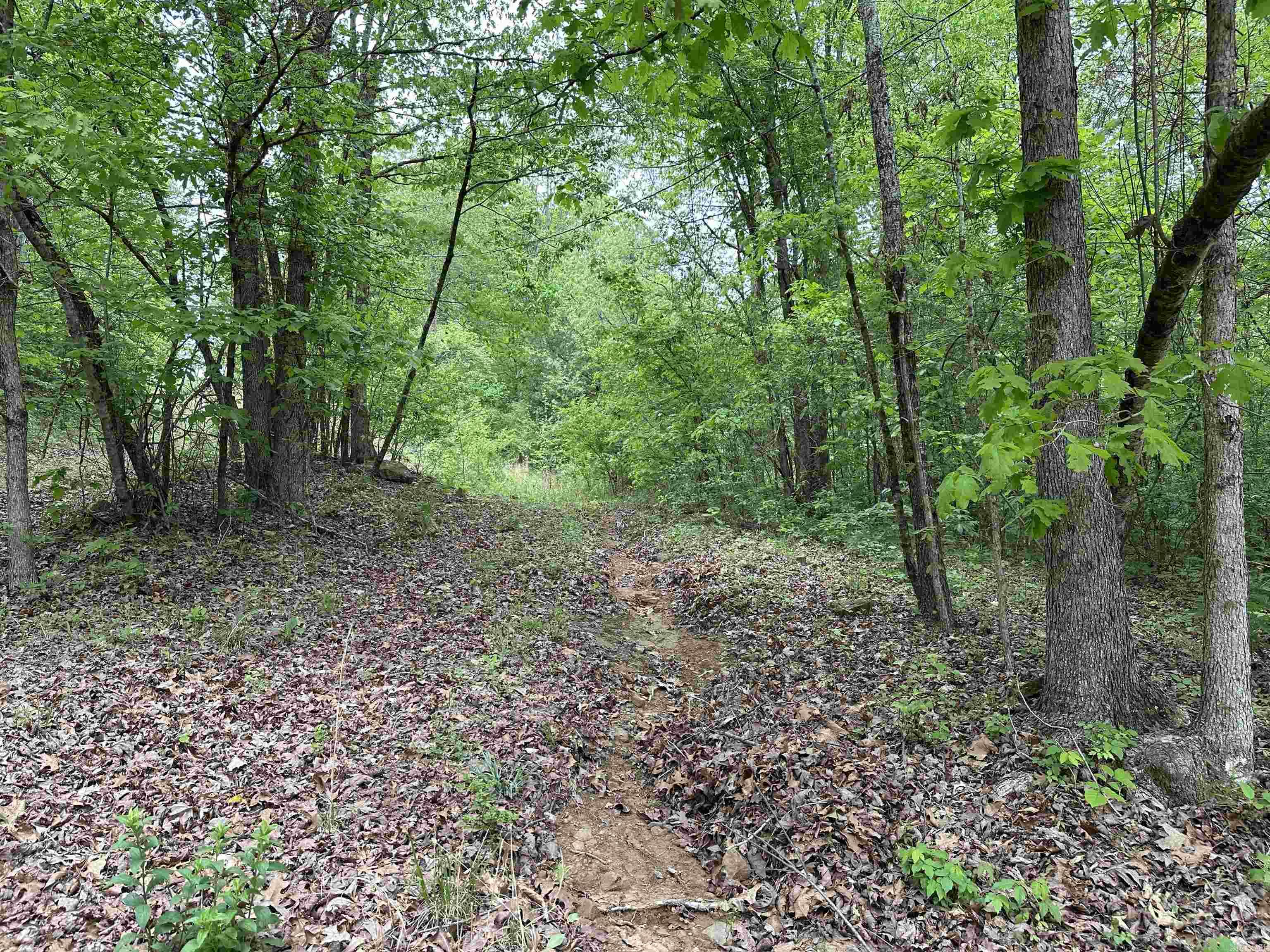 4090  Sunny Slope  Edgemont, AR