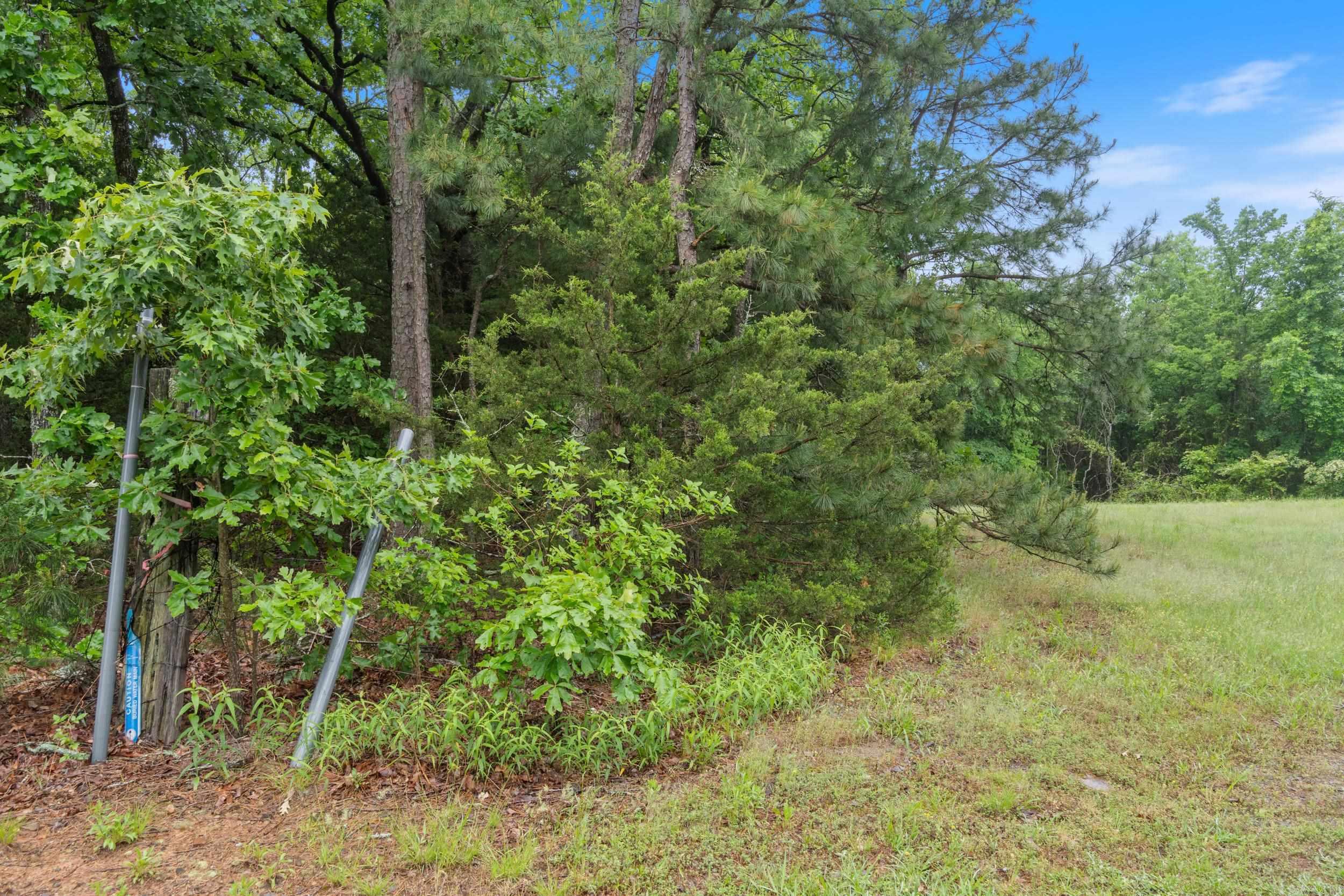 0  Beene Road  Greenbrier, AR