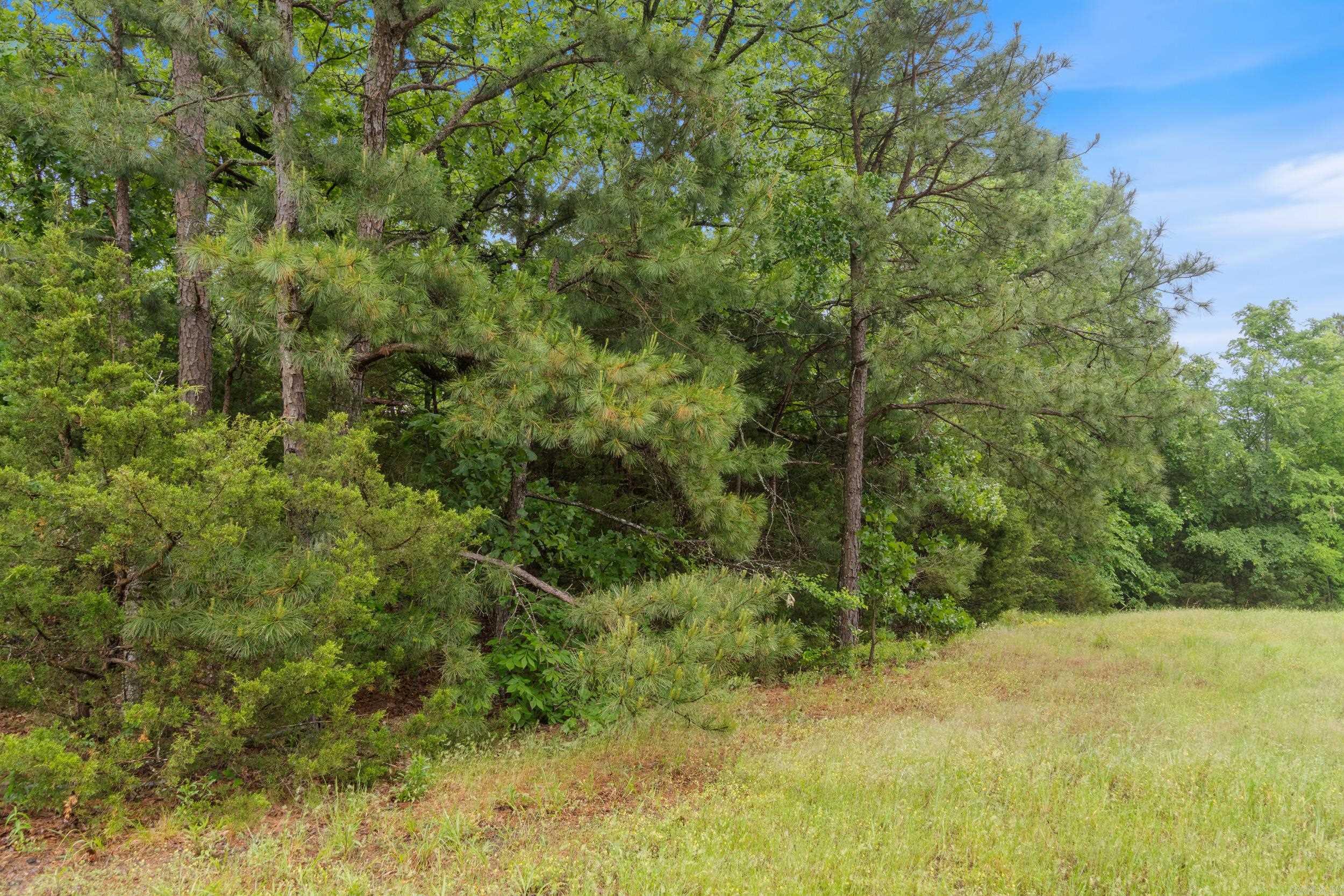 0  Beene Road  Greenbrier, AR