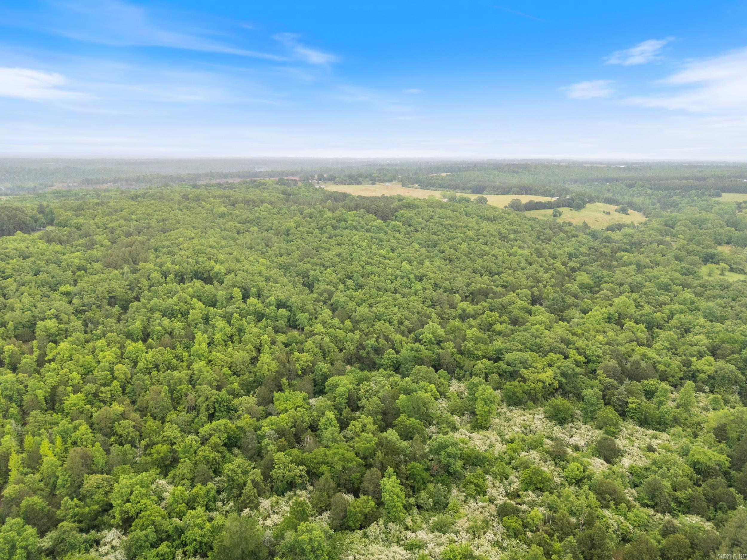 0  Beene Road  Greenbrier, AR