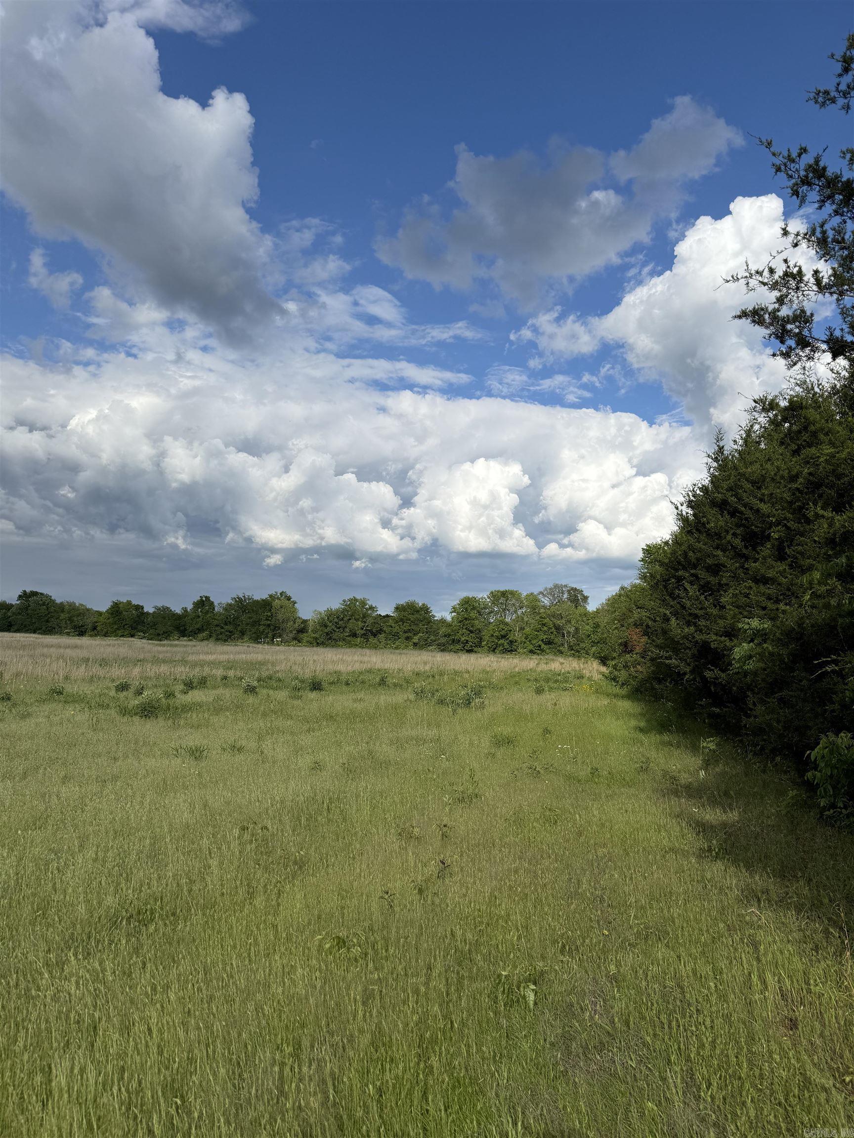 0000  Burkett Flat  Greenbrier, AR