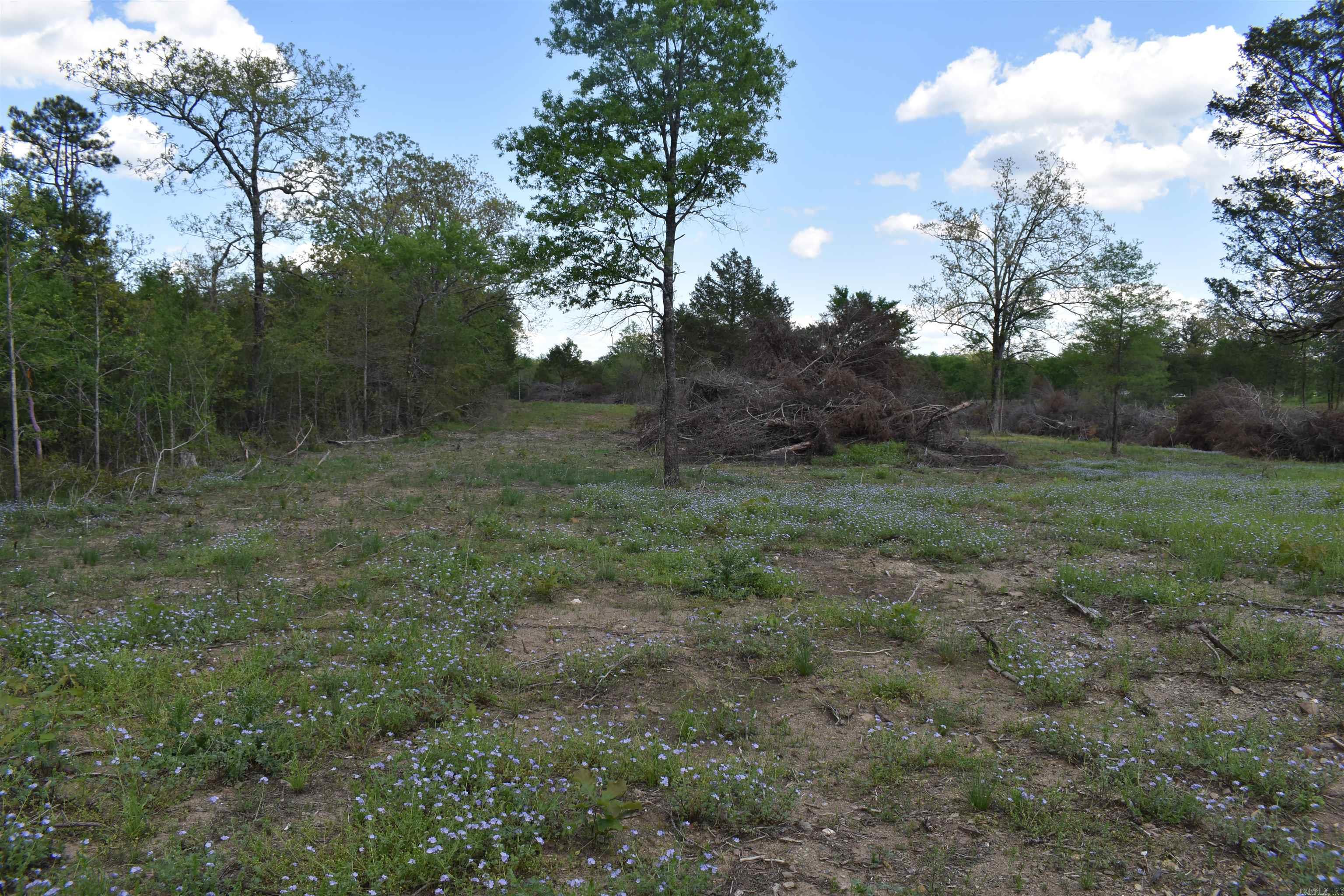 0000  HWY 88 E  Sims, AR