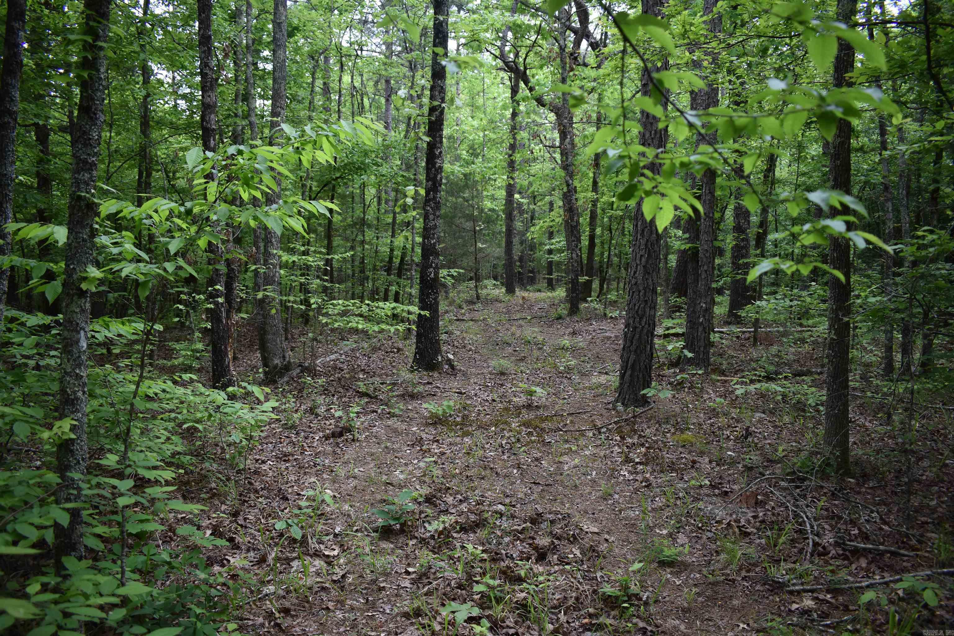 0000  Pole Thickett Road  Black Sprs., AR